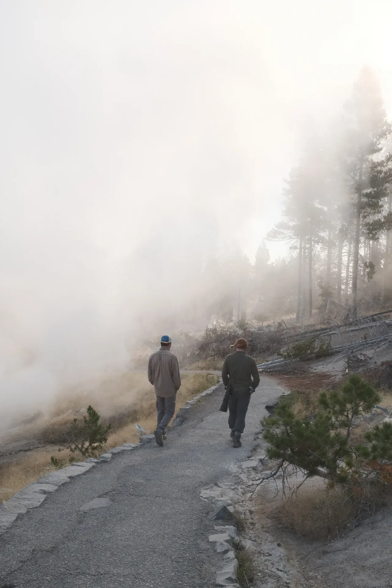 Yellowstone NP photograph 16