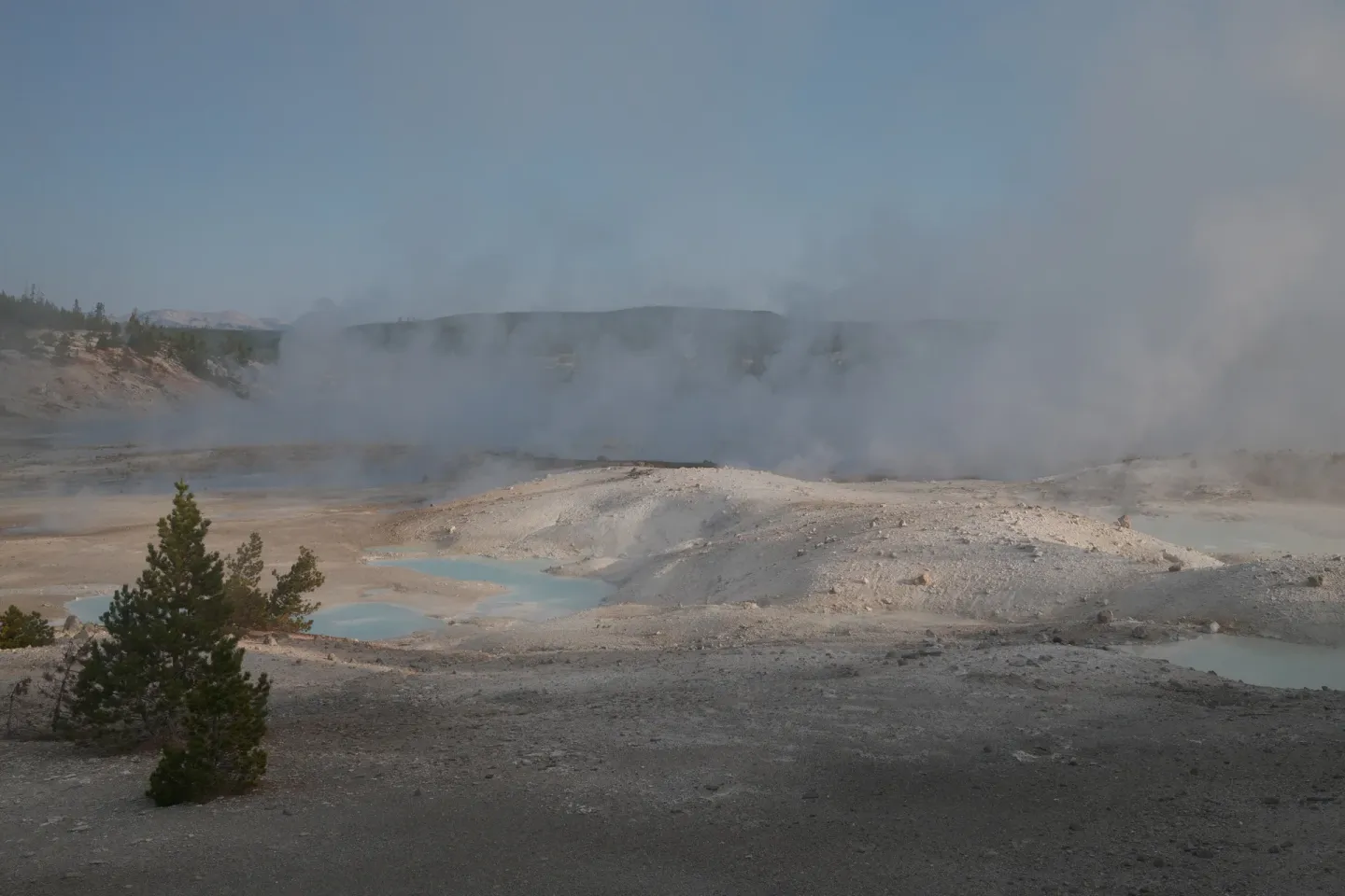 Yellowstone NP photograph 17