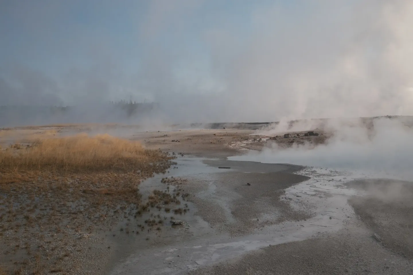 Yellowstone NP photograph 19
