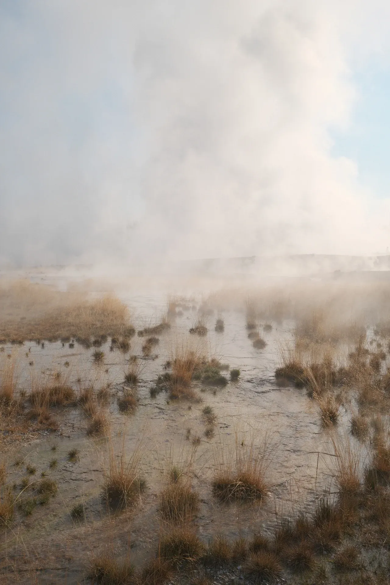 Yellowstone NP photograph 20