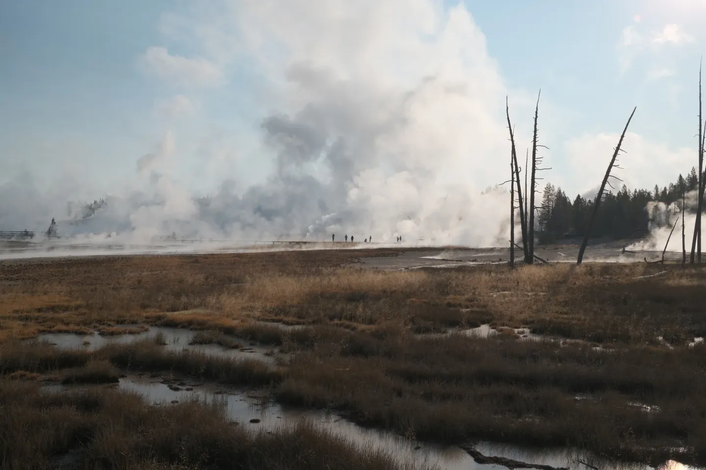 Yellowstone NP photograph 21