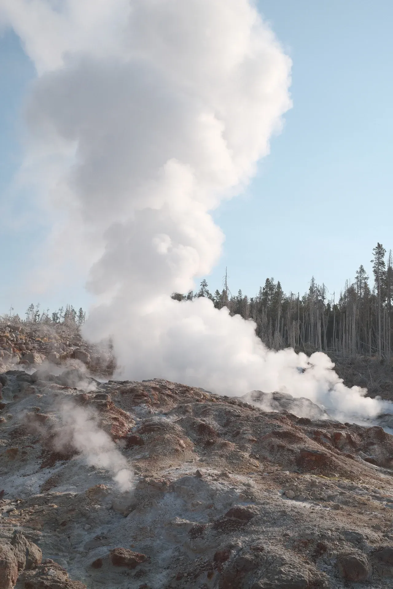 Yellowstone NP photograph 27