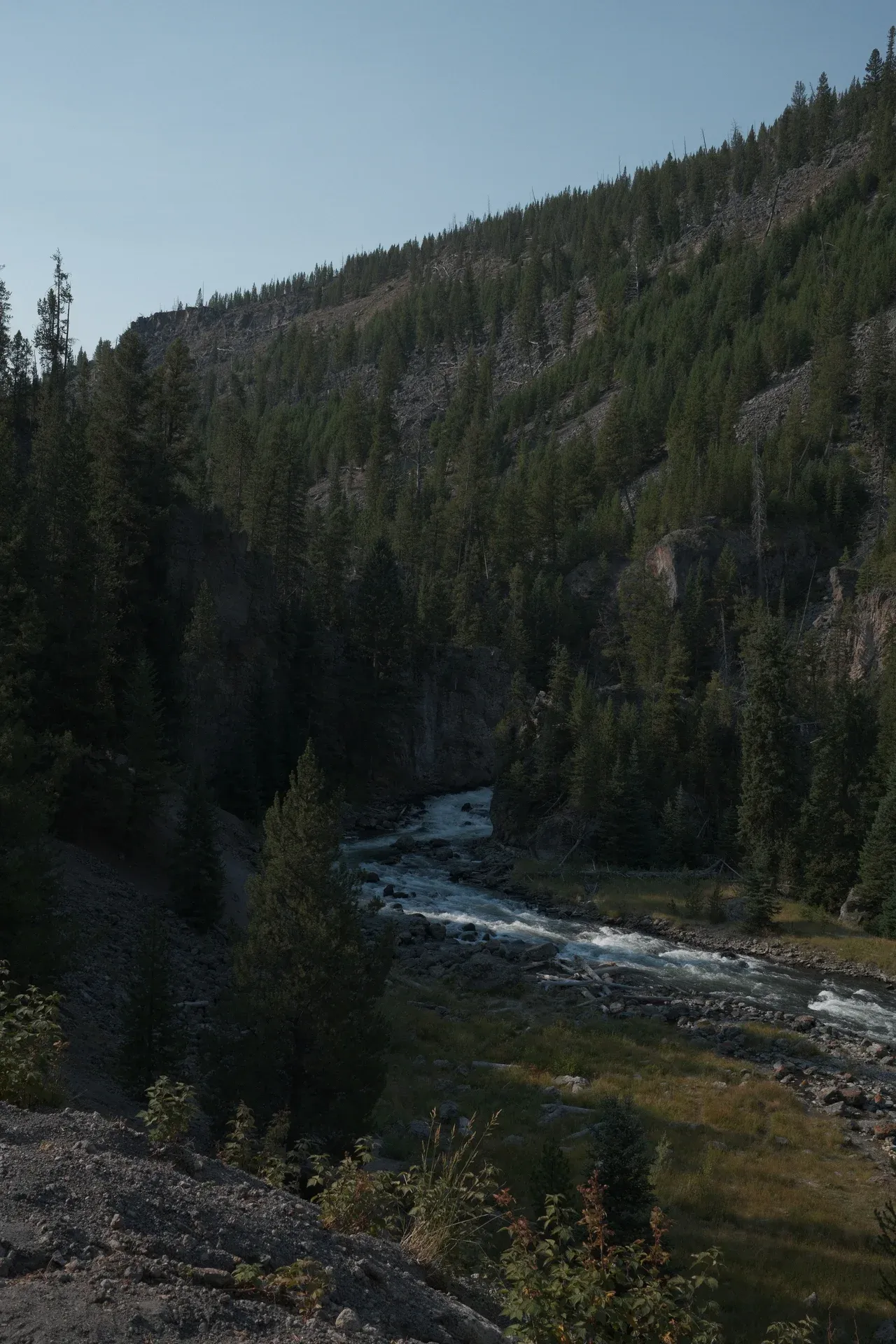 Yellowstone NP photograph 29