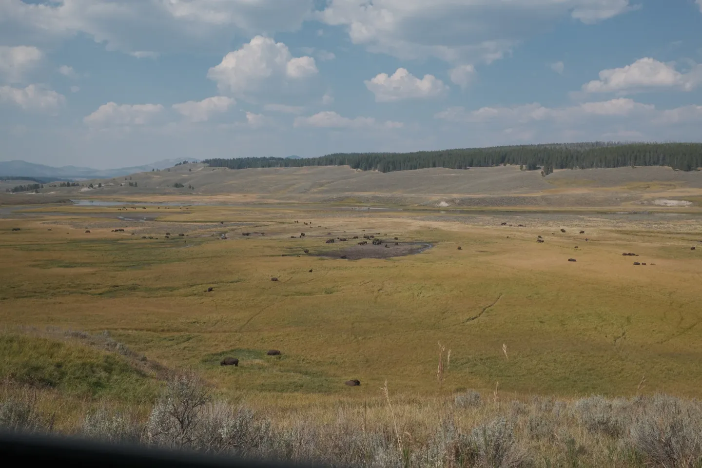 Yellowstone NP photograph 33
