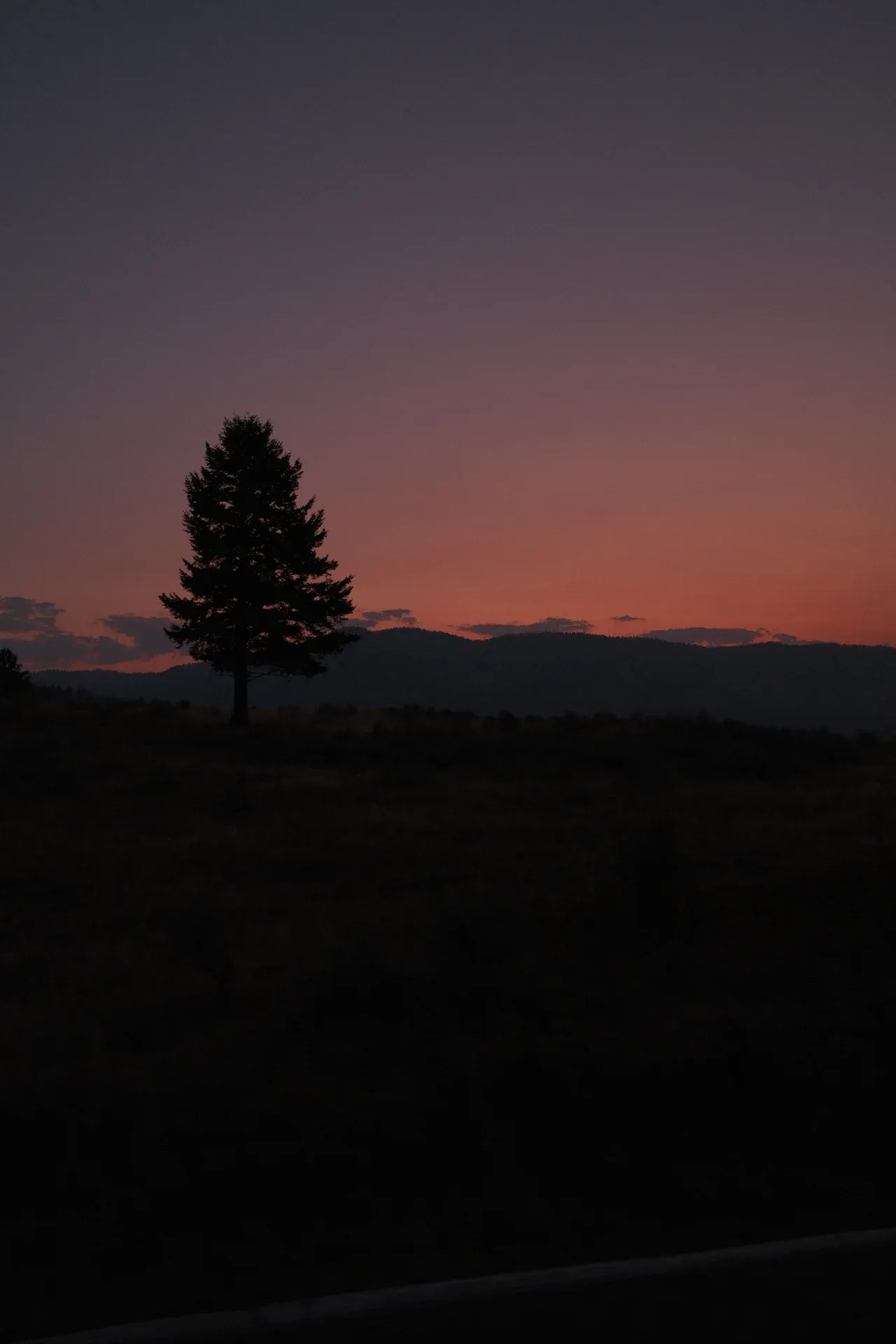 Yellowstone NP photograph 40