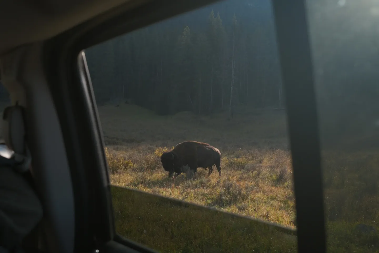 Yellowstone NP photograph 46