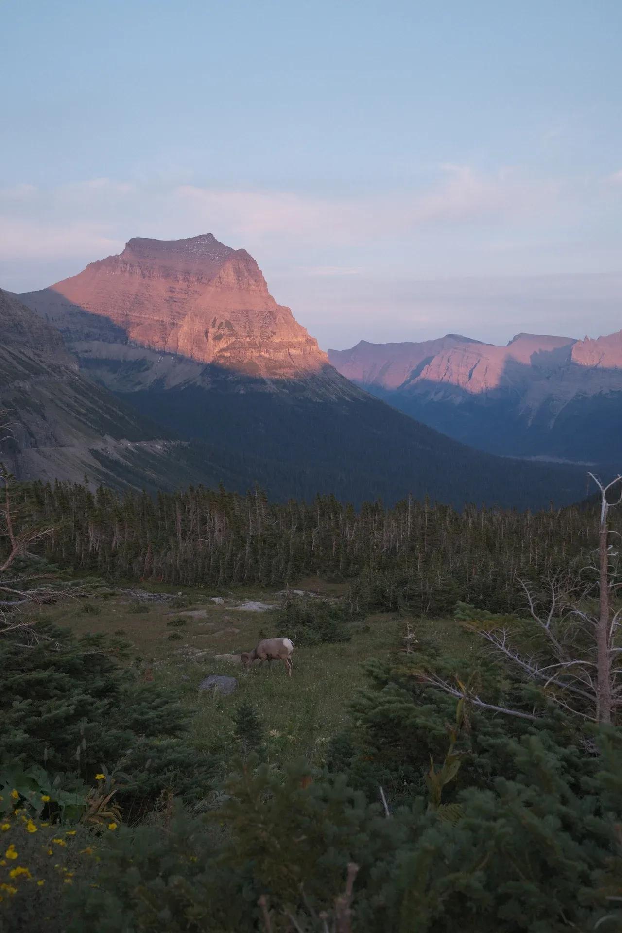 Glacier NP photograph 62