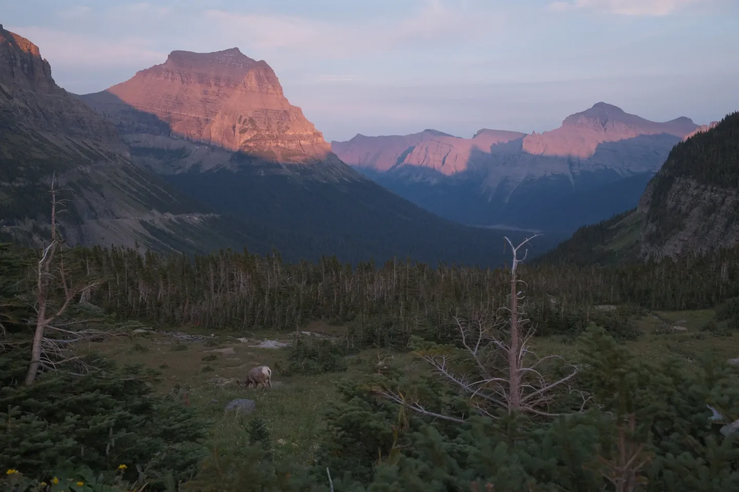 Glacier NP photograph 61