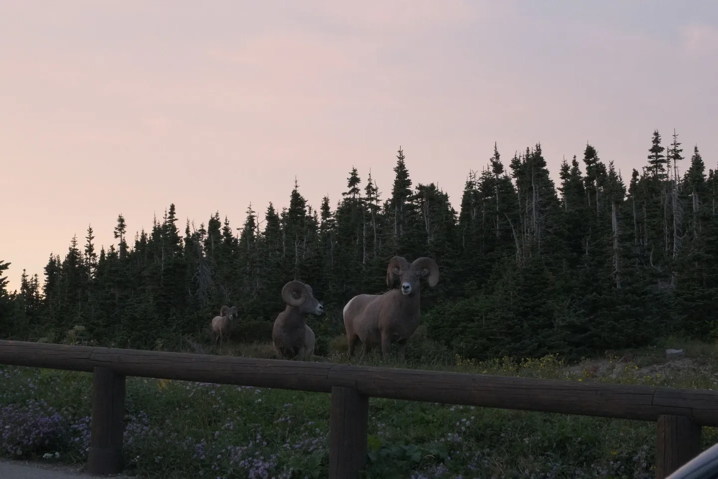 Glacier NP photograph 63