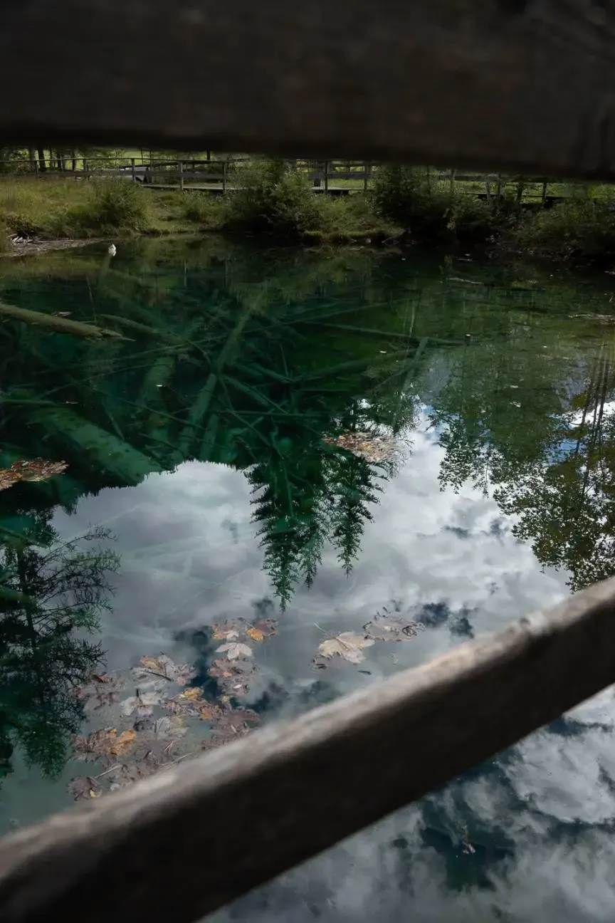 Slovenia photograph 4