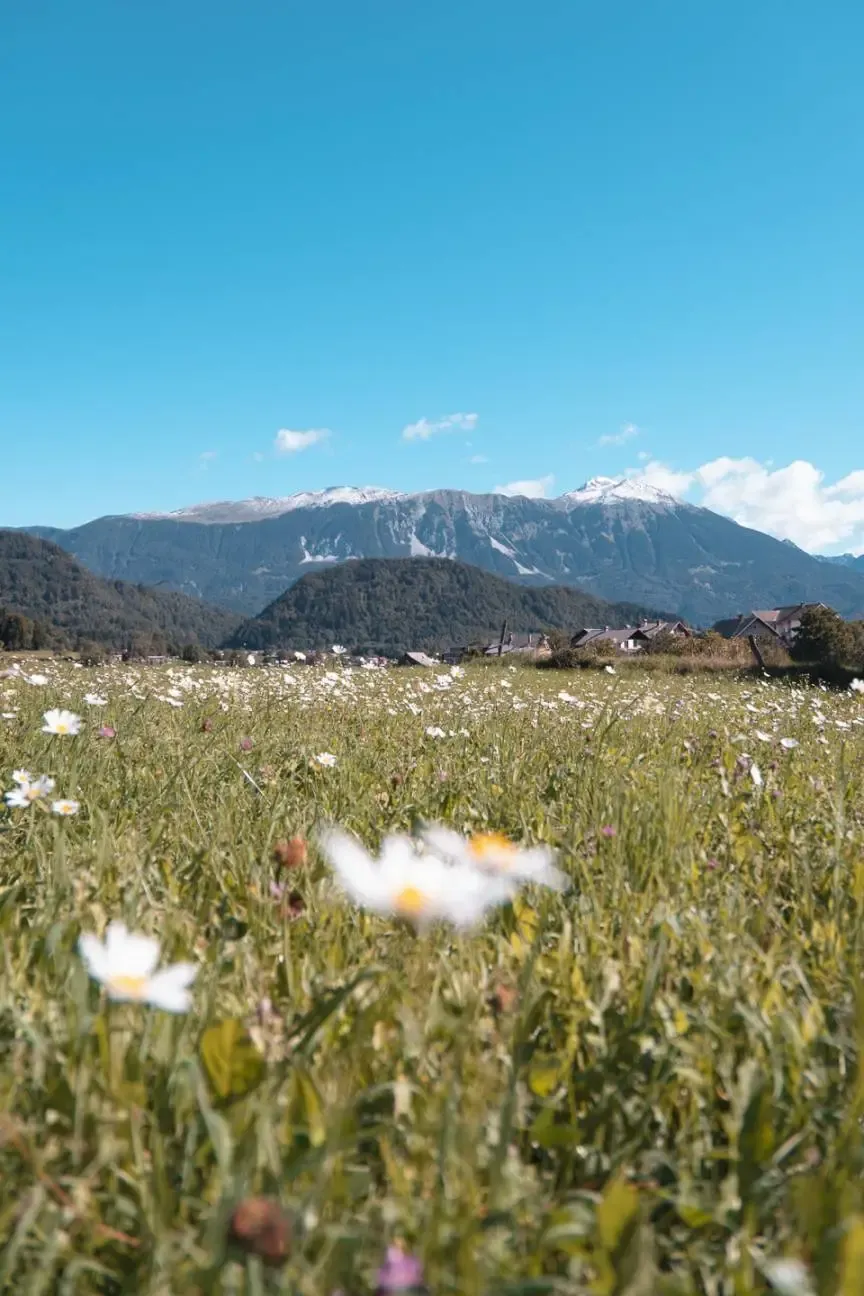 Slovenia photograph 9