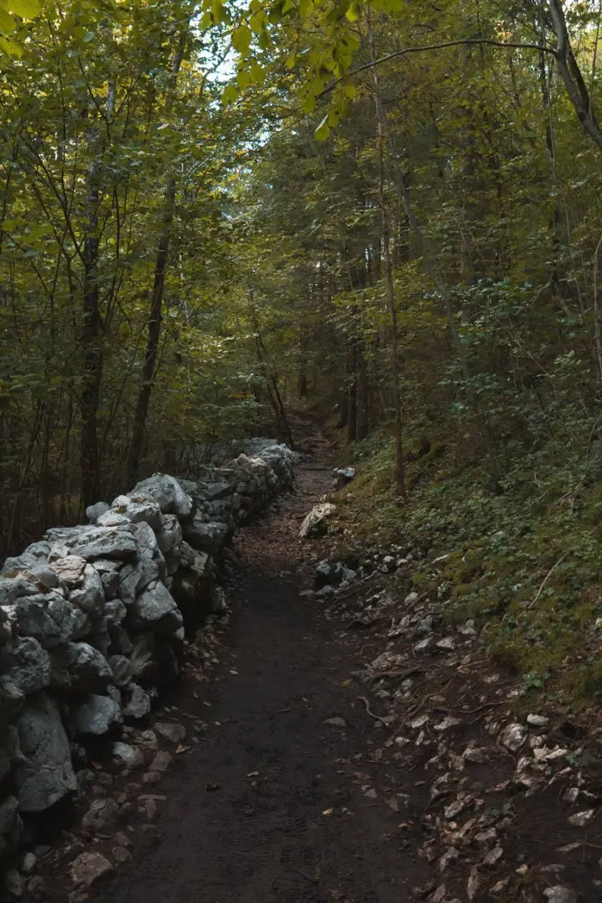 Slovenia photograph 41