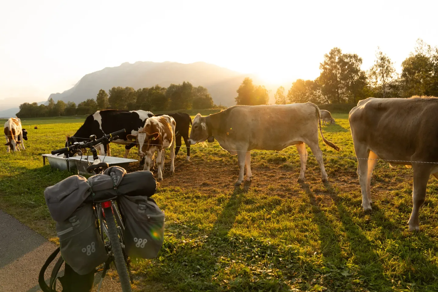 Bikepacking photograph 46