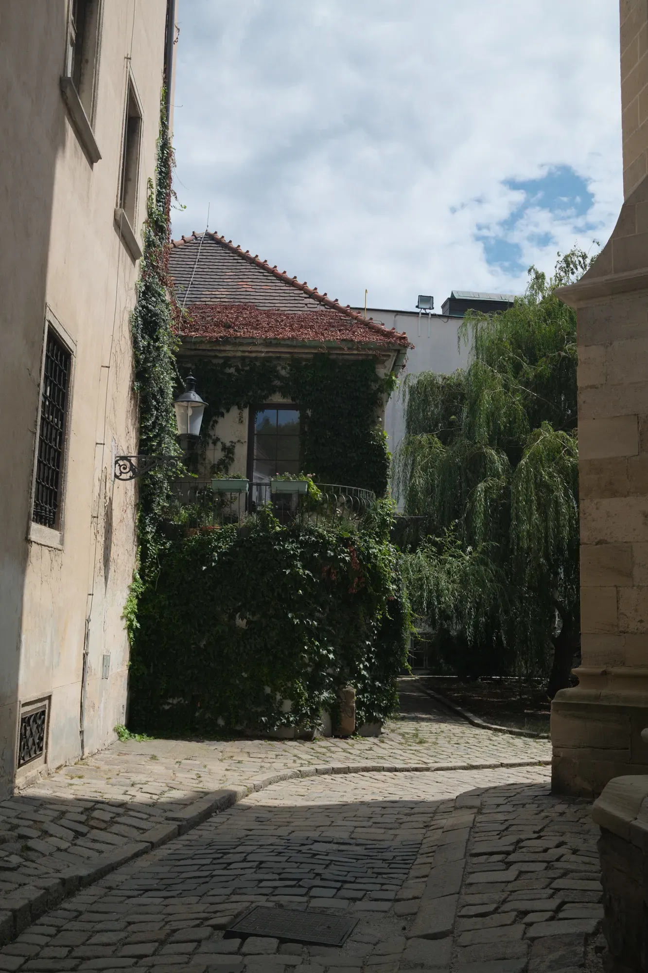 Vienna × Bratislava photograph 28