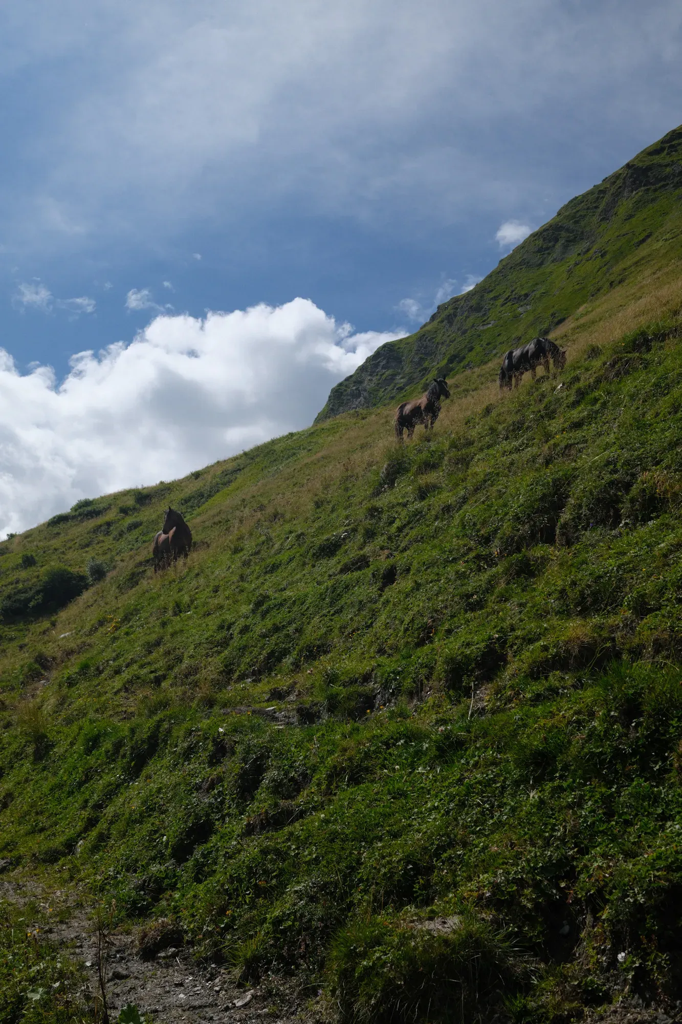 Carinthia photograph 66
