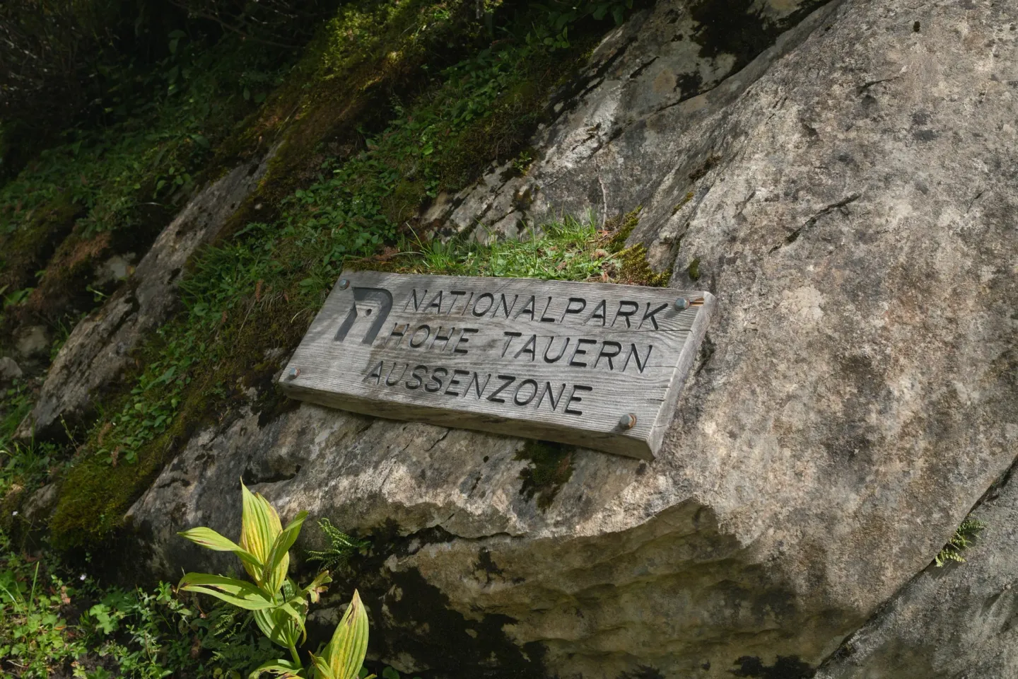 Carinthia photograph 68
