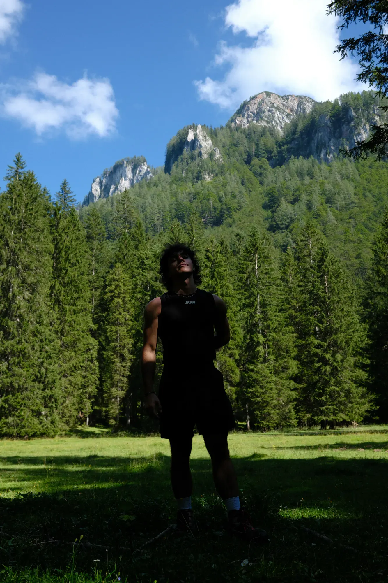Carinthia photograph 11