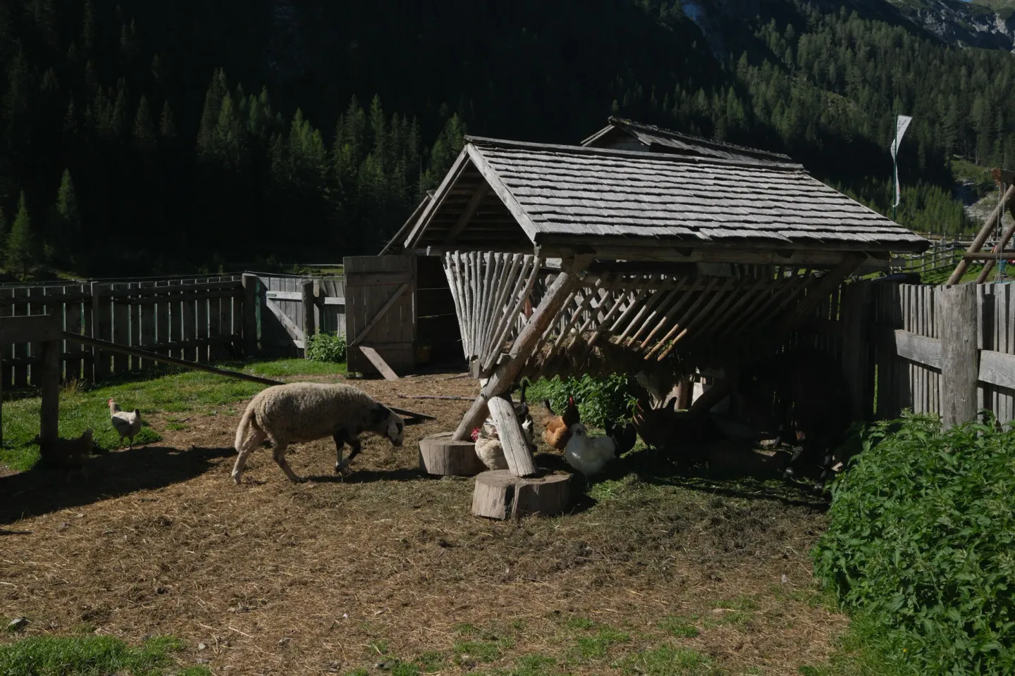 Carinthia photograph 72