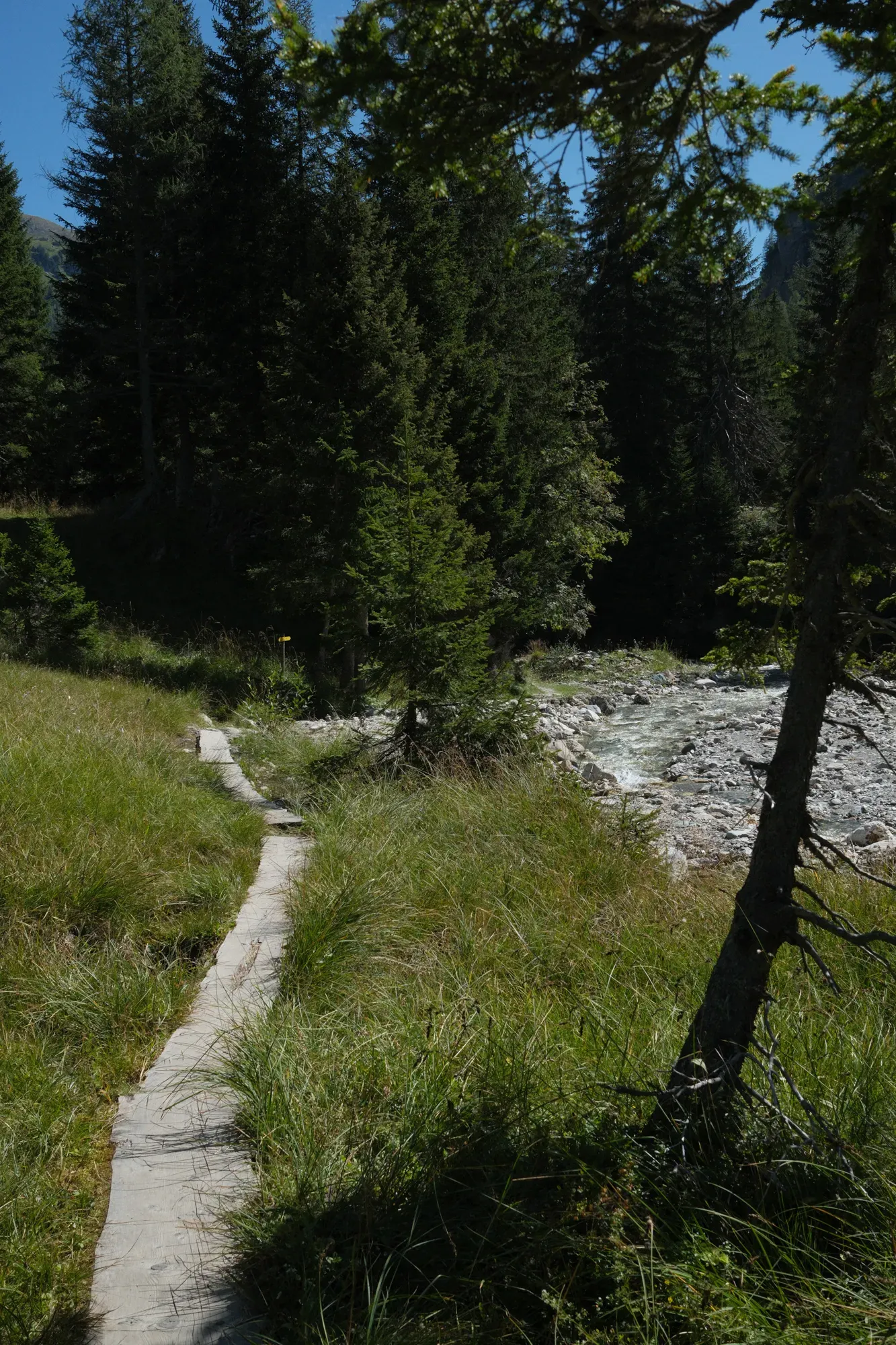 Carinthia photograph 77