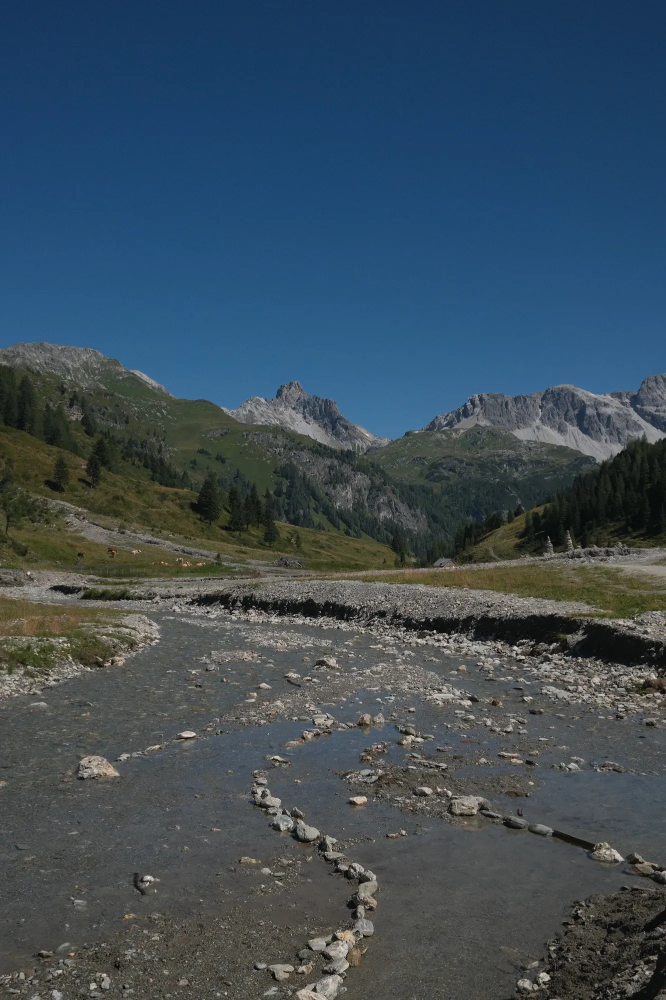 Carinthia photograph 78