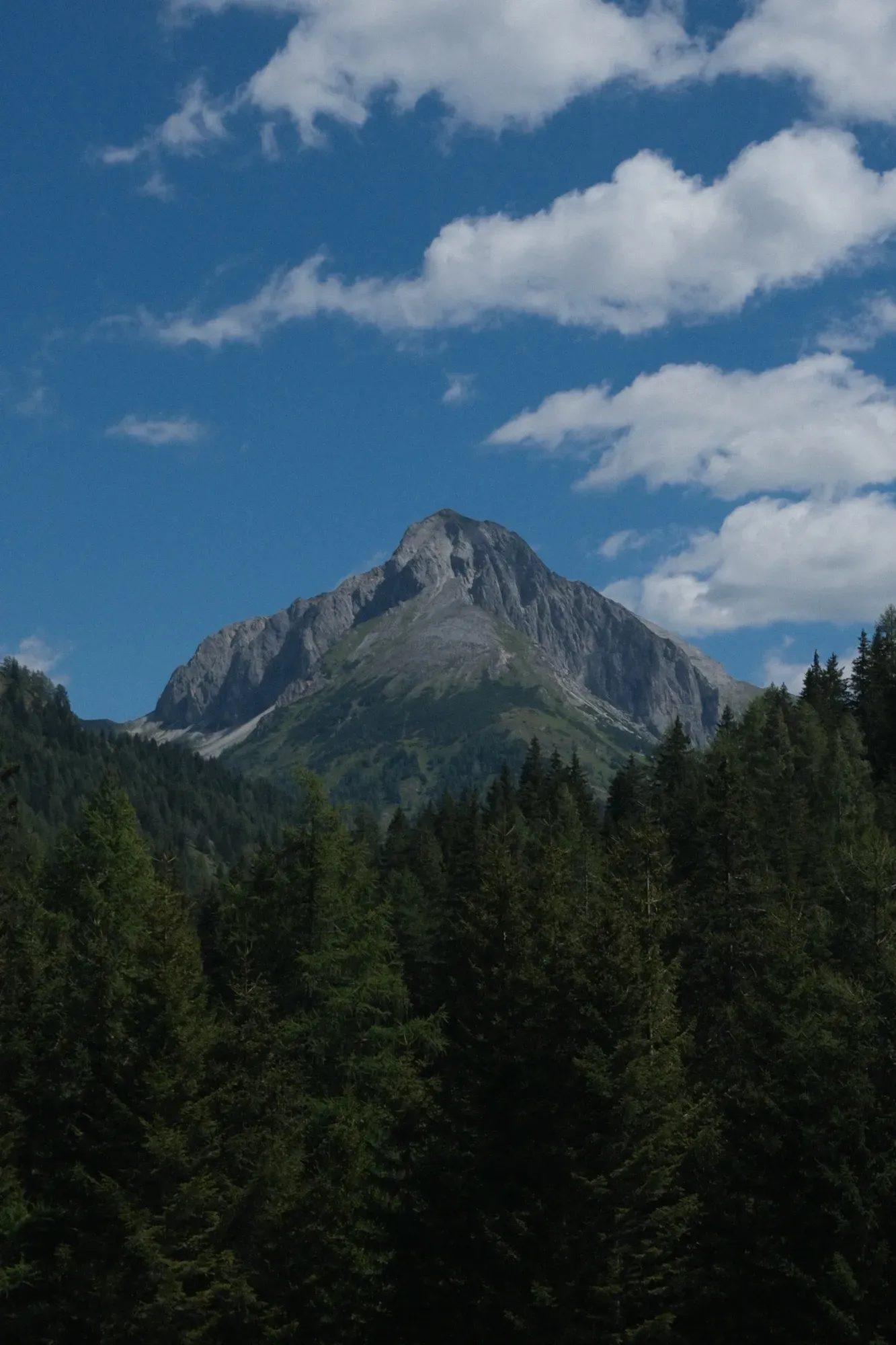 Carinthia photograph 80