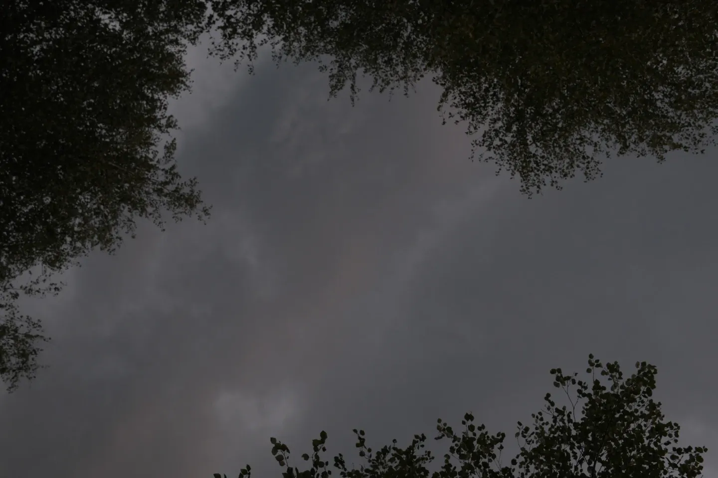 Carinthia photograph 83