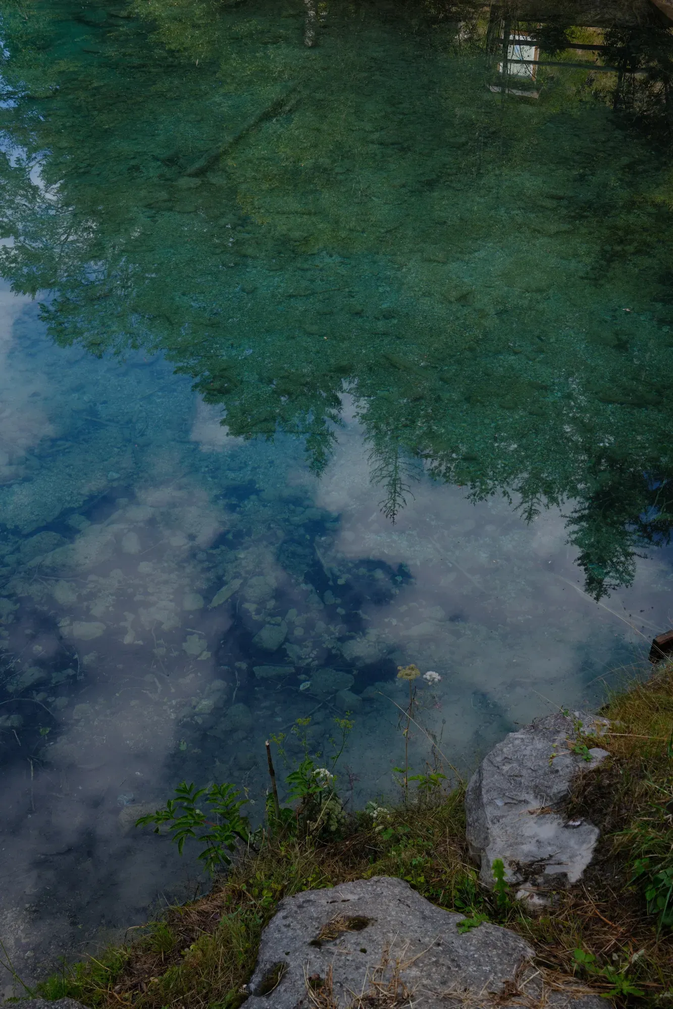 Carinthia photograph 20