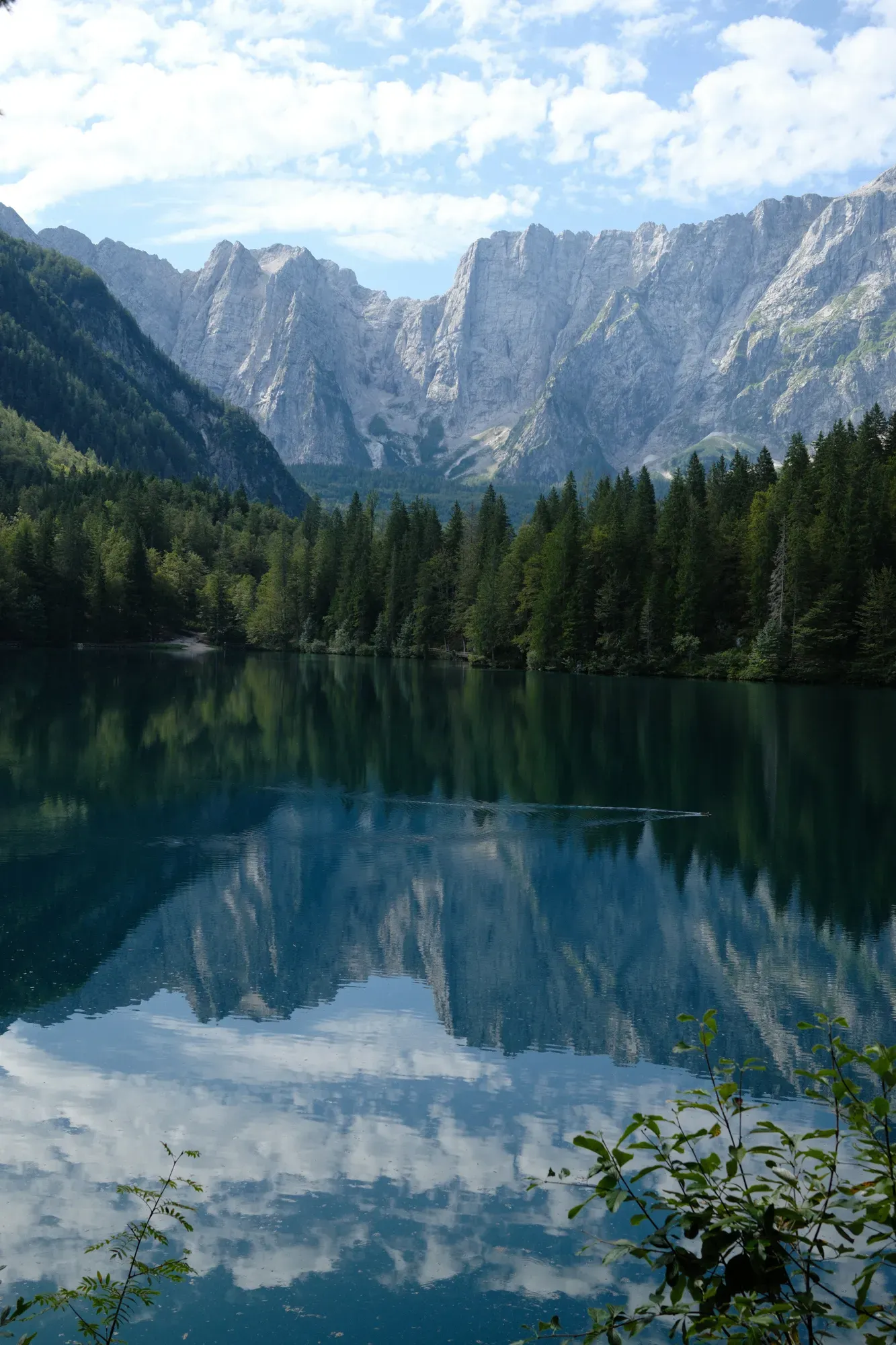 Carinthia photograph 24