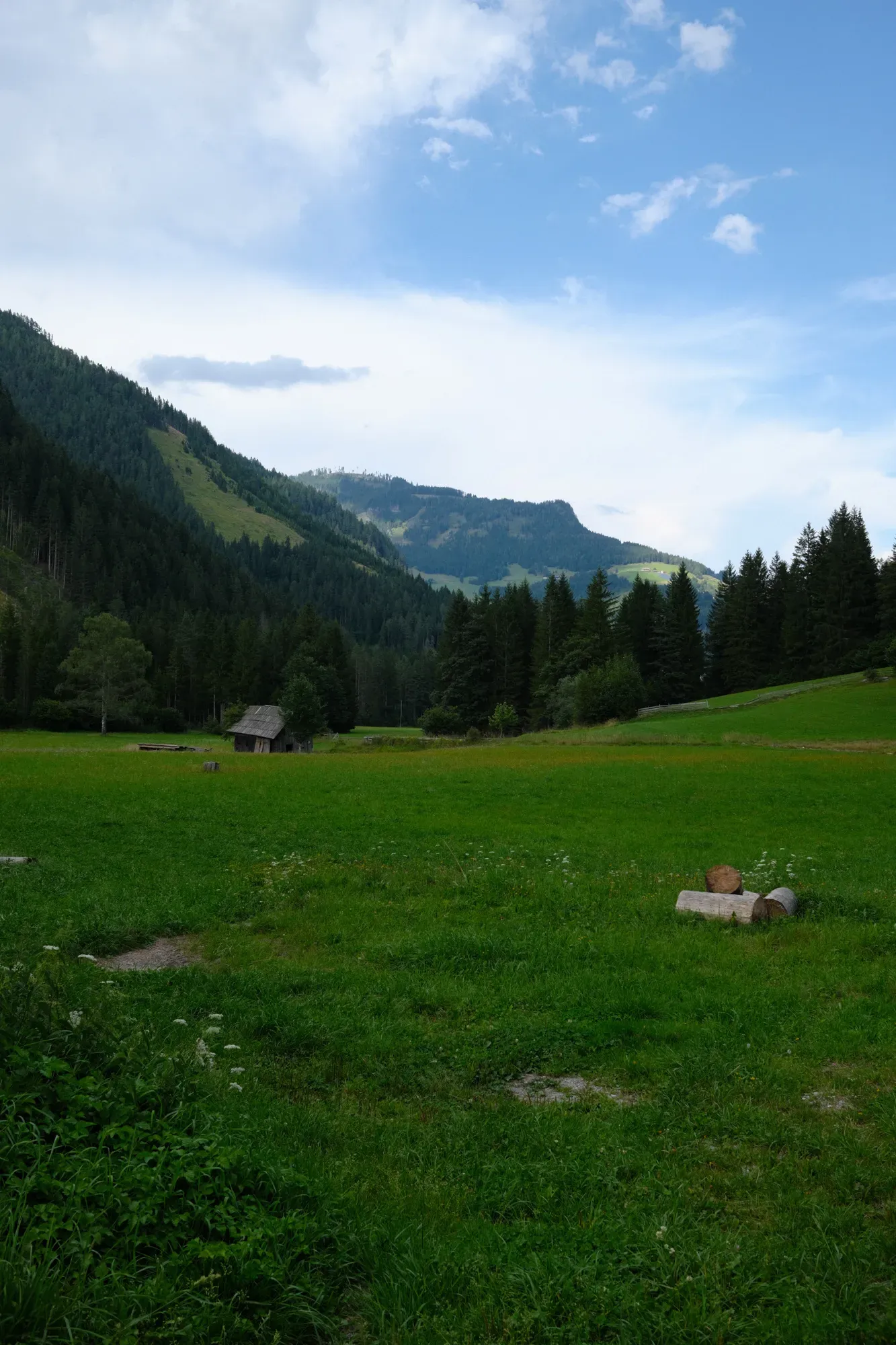 Carinthia photograph 28