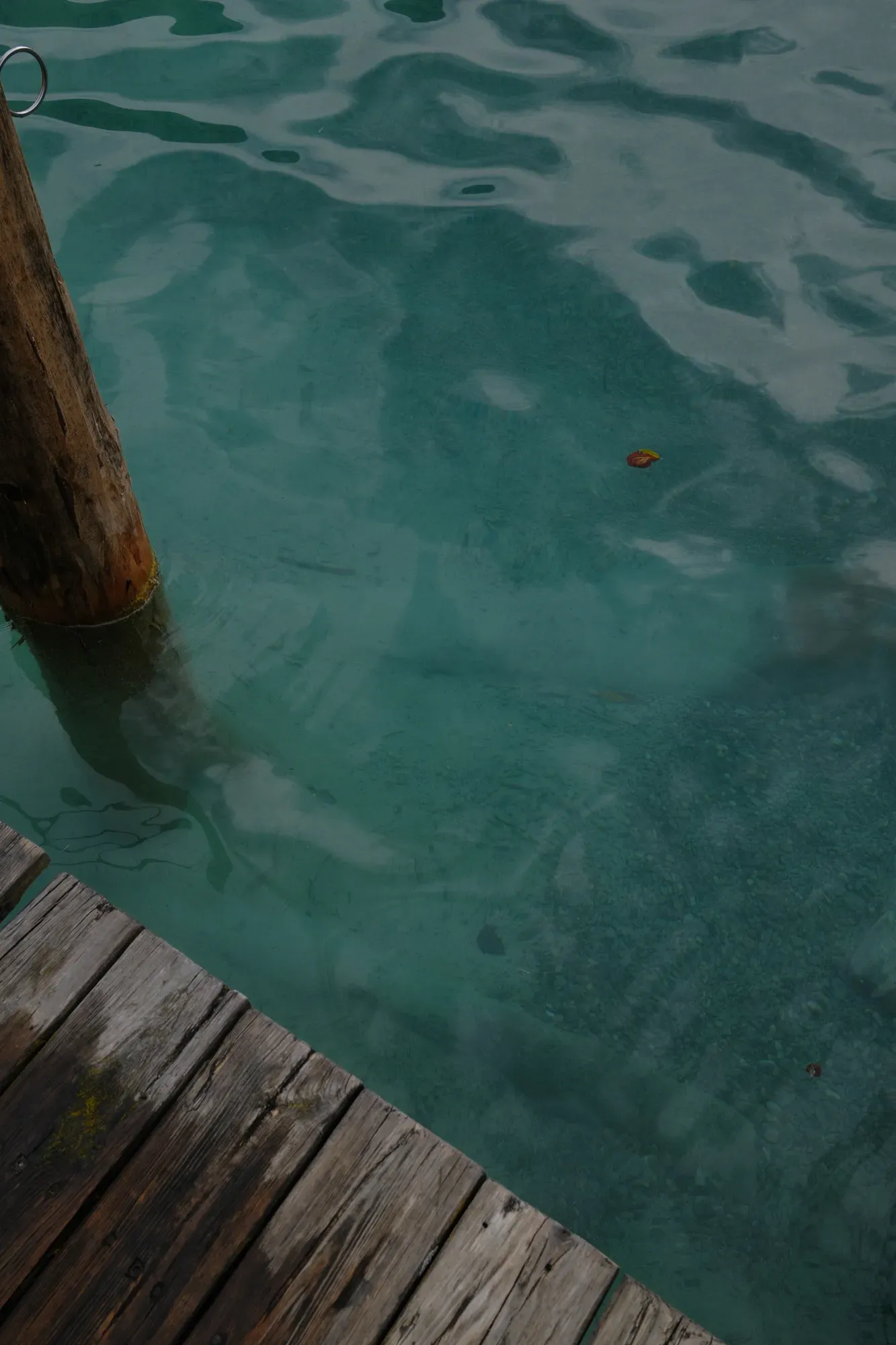 Carinthia photograph 34