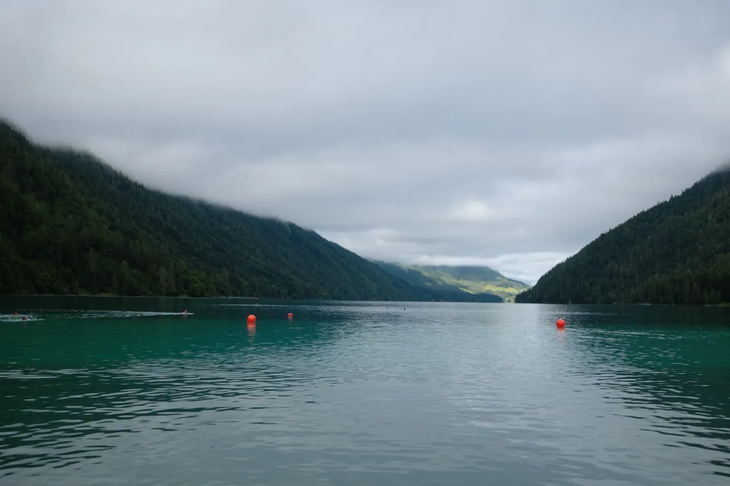 Carinthia photograph 33