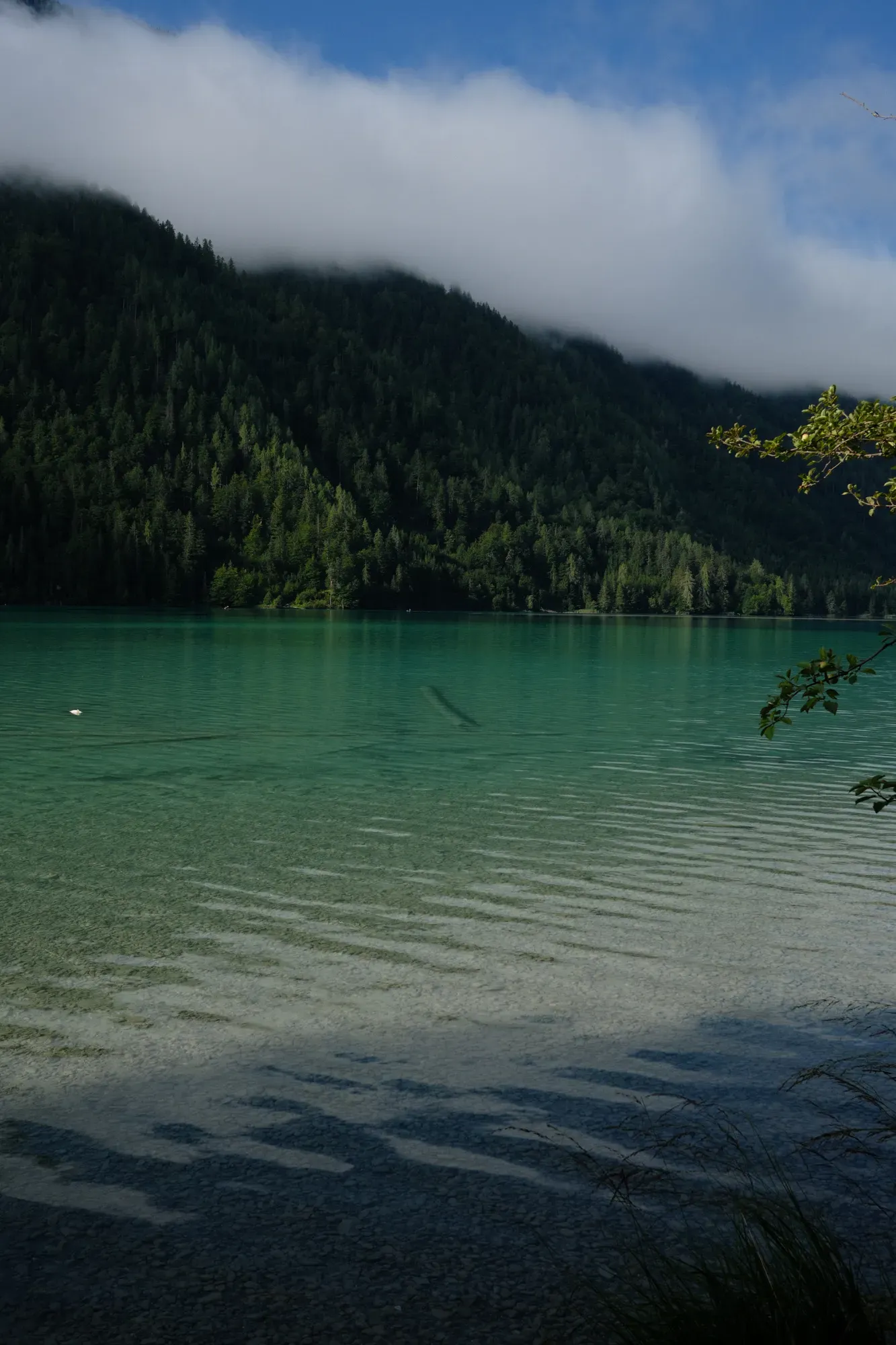 Carinthia photograph 37