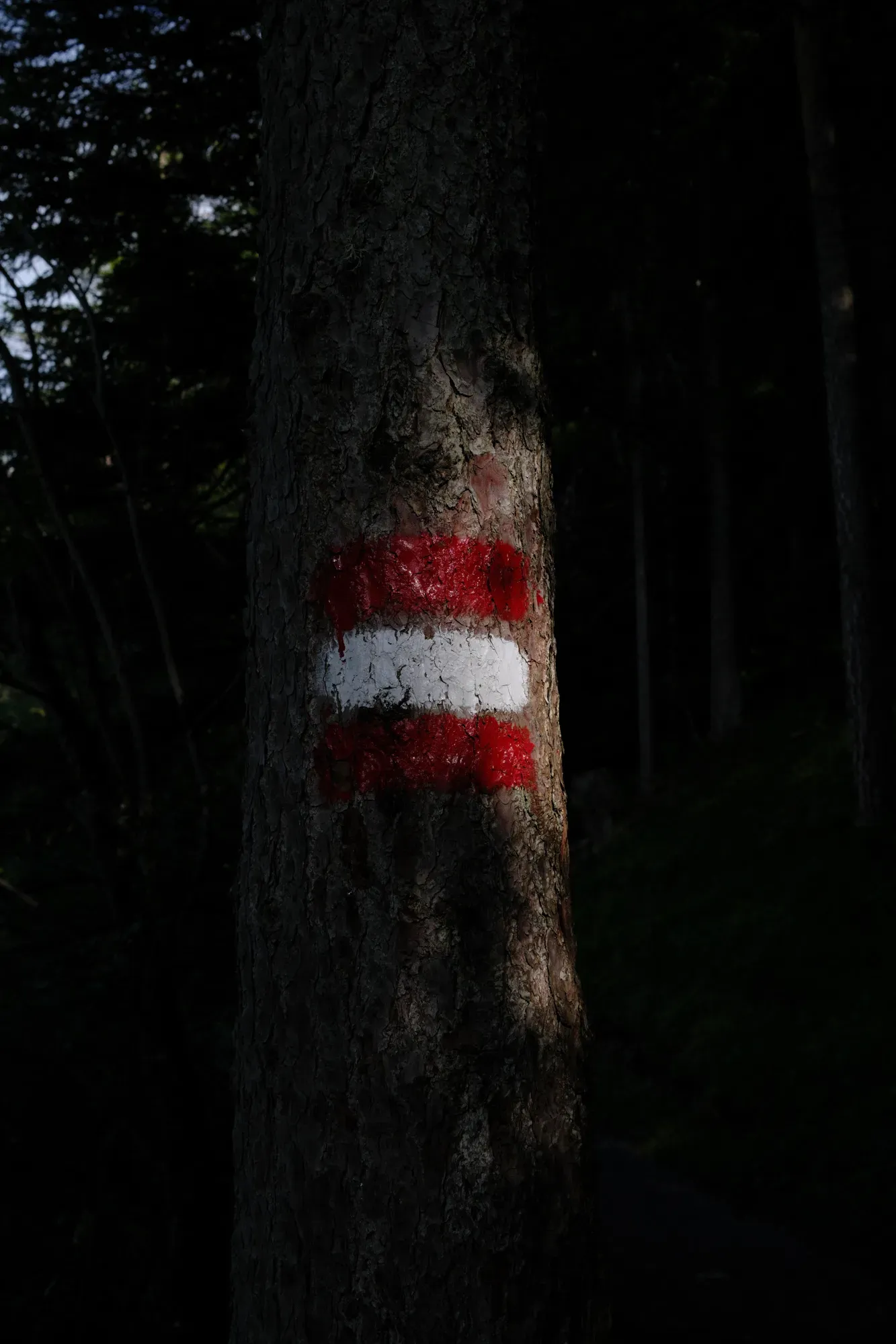 Carinthia photograph 39