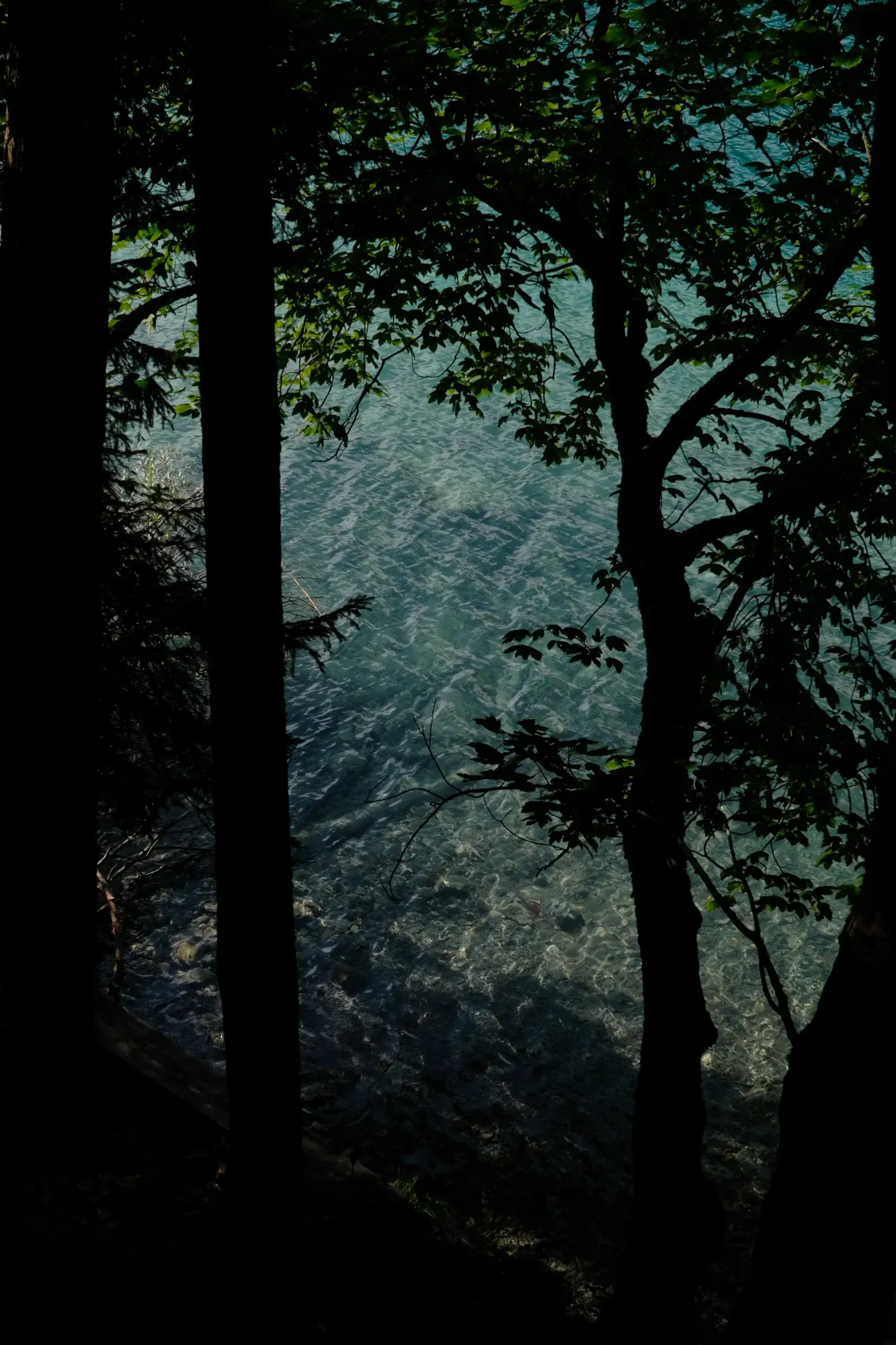 Carinthia photograph 38