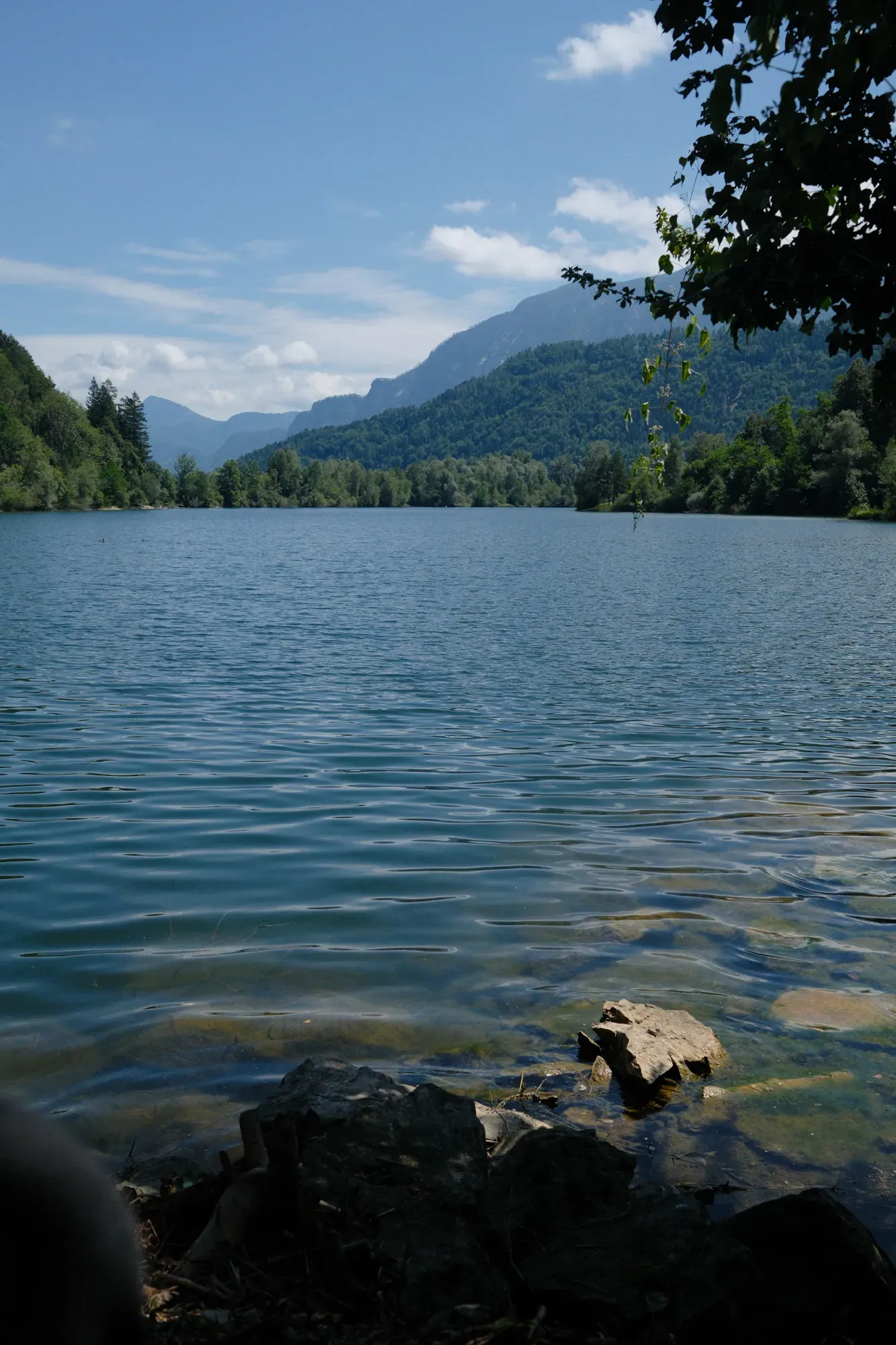 Carinthia photograph 3