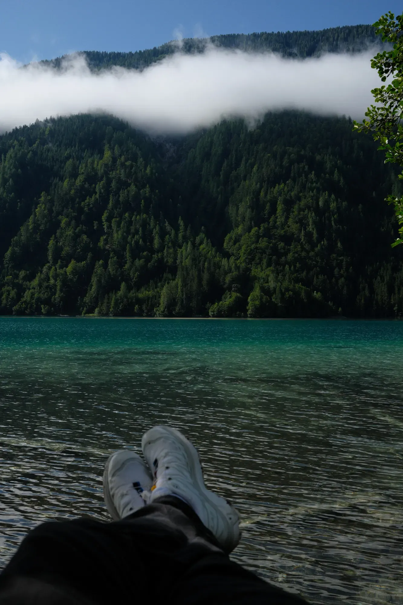 Carinthia photograph 41