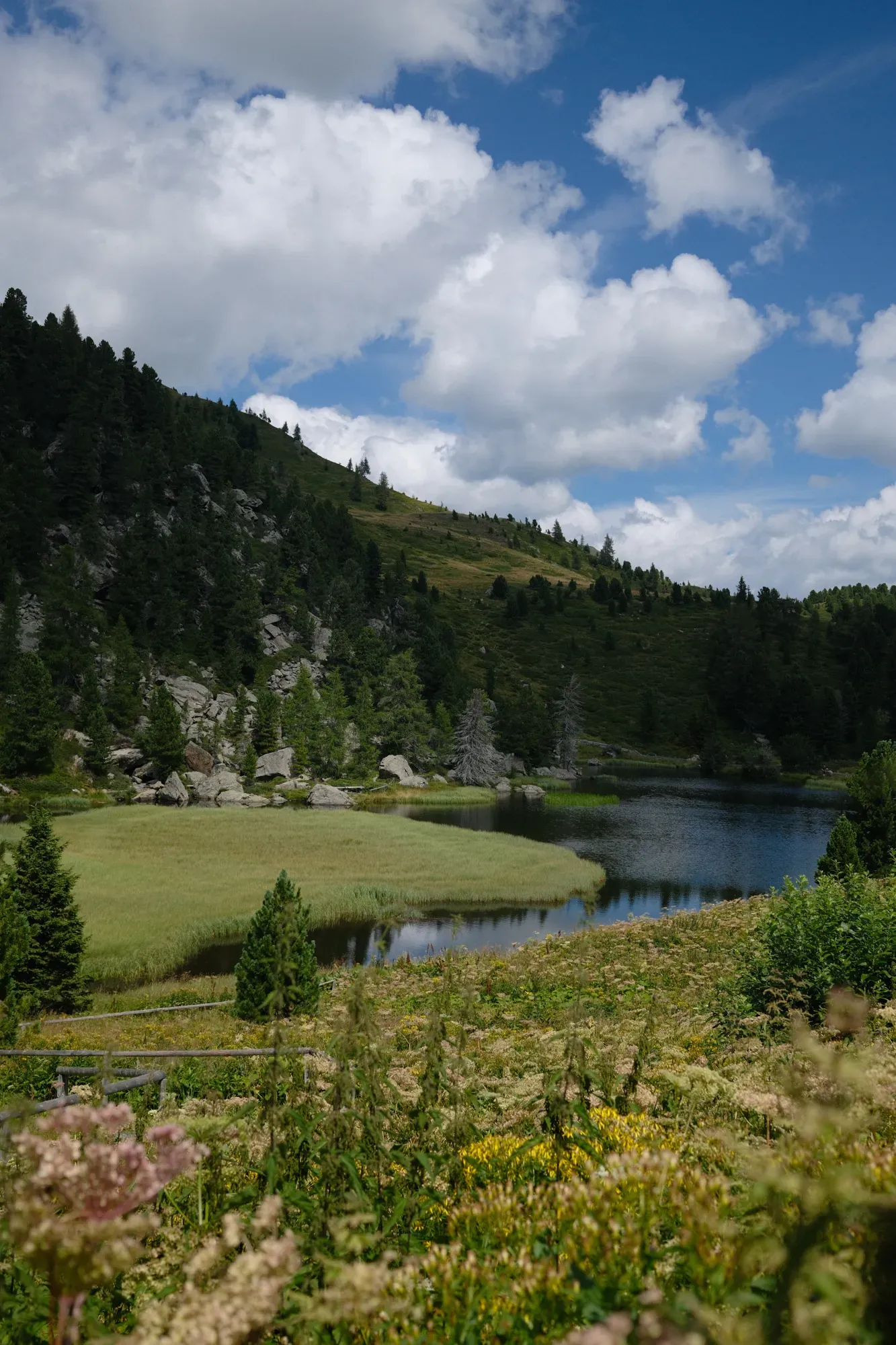 Carinthia photograph 42