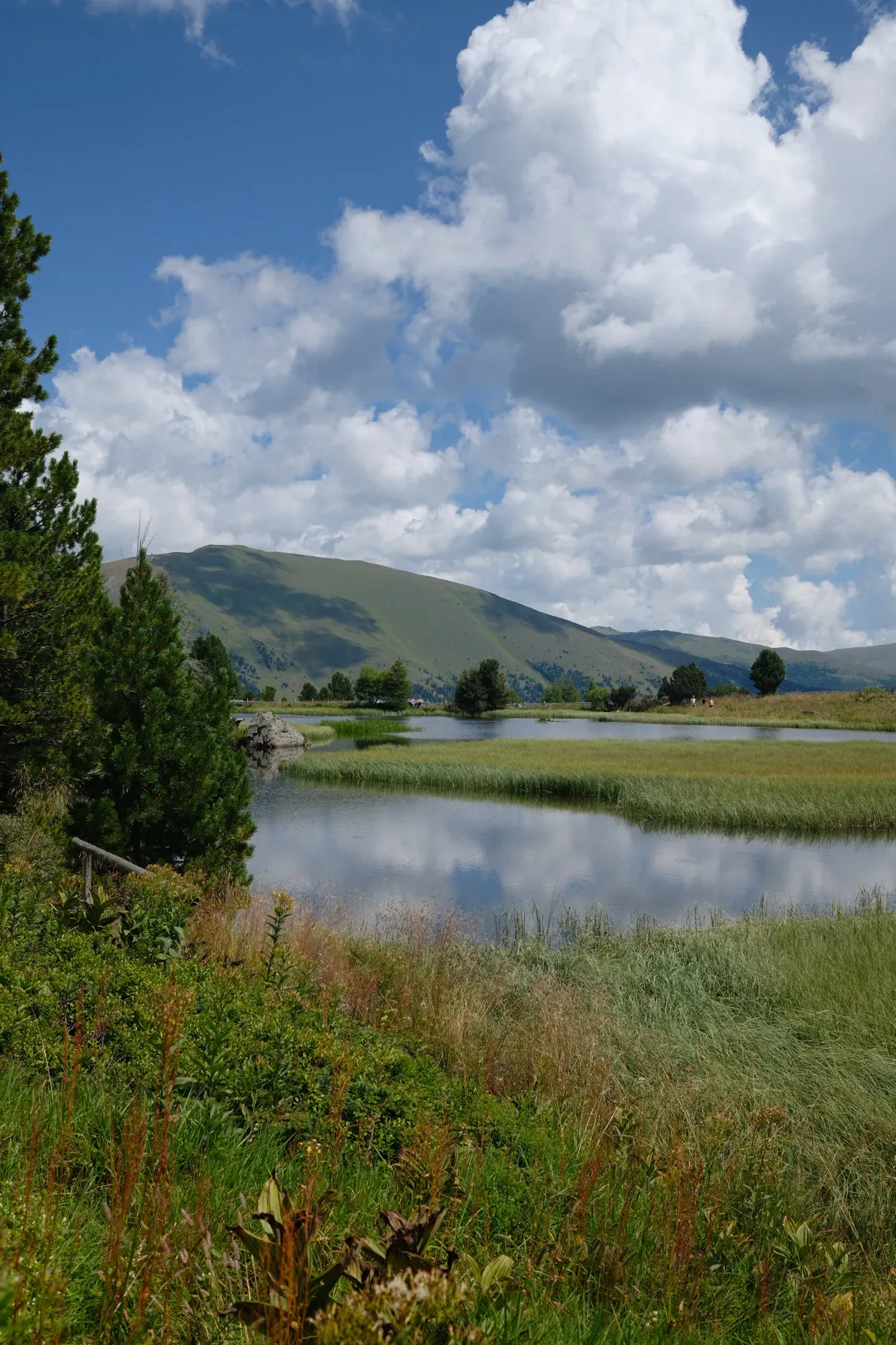Carinthia photograph 43