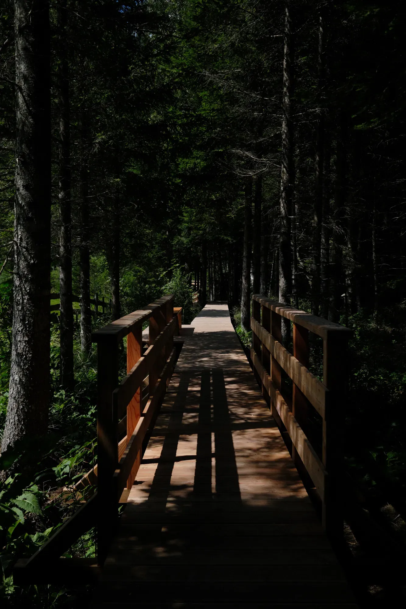 Carinthia photograph 7