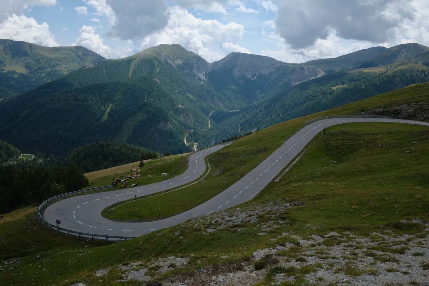 Carinthia photograph 49