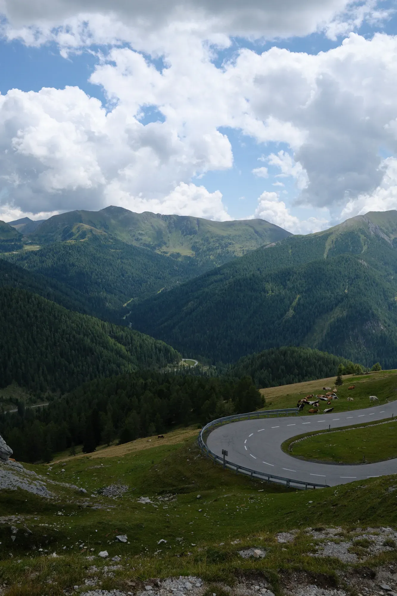 Carinthia photograph 48