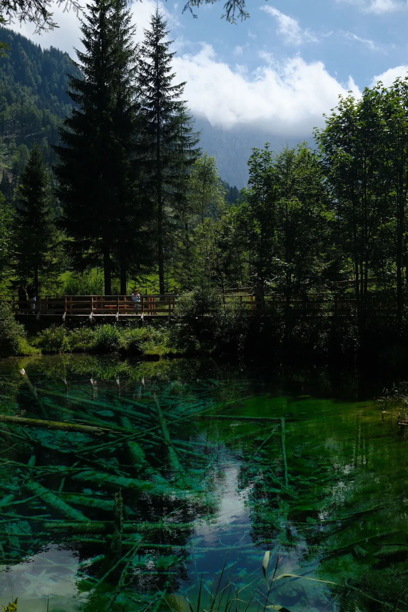Carinthia photograph 9