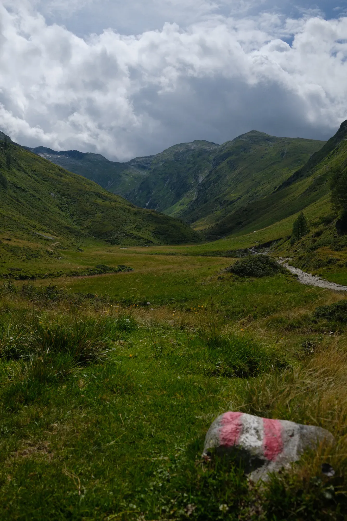 Carinthia photograph 64