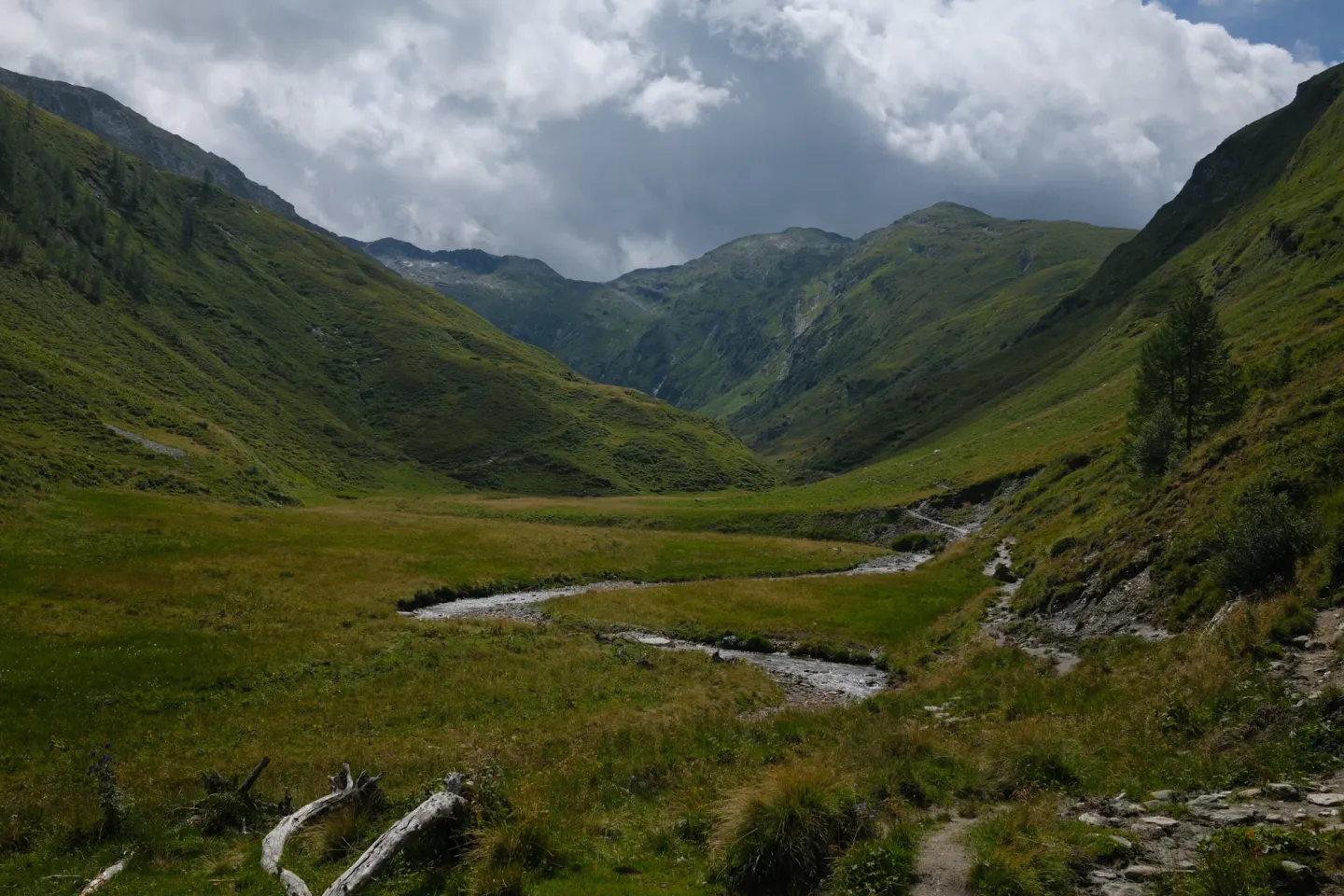 Carinthia photograph 63