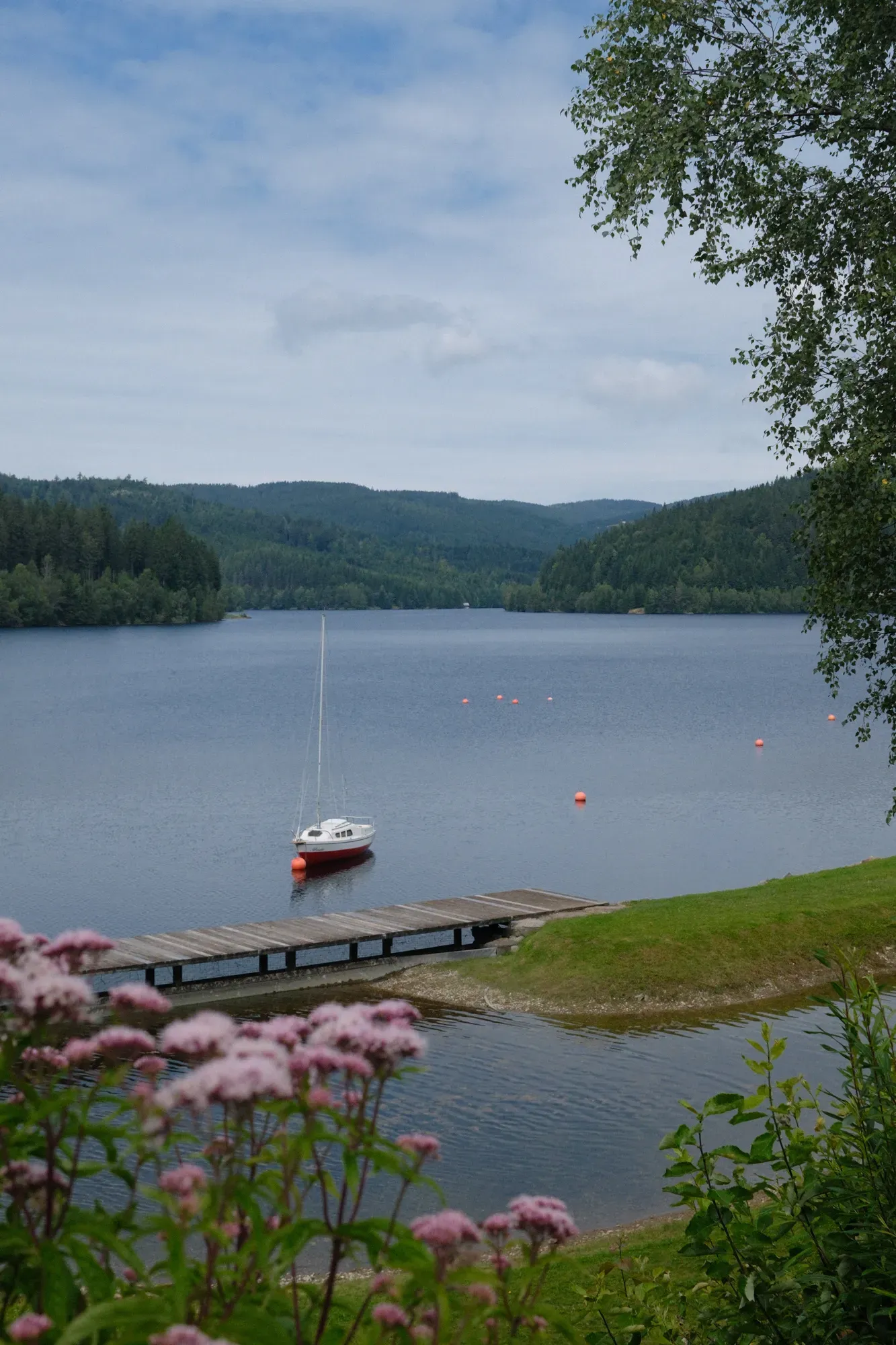 Carinthia photograph 1