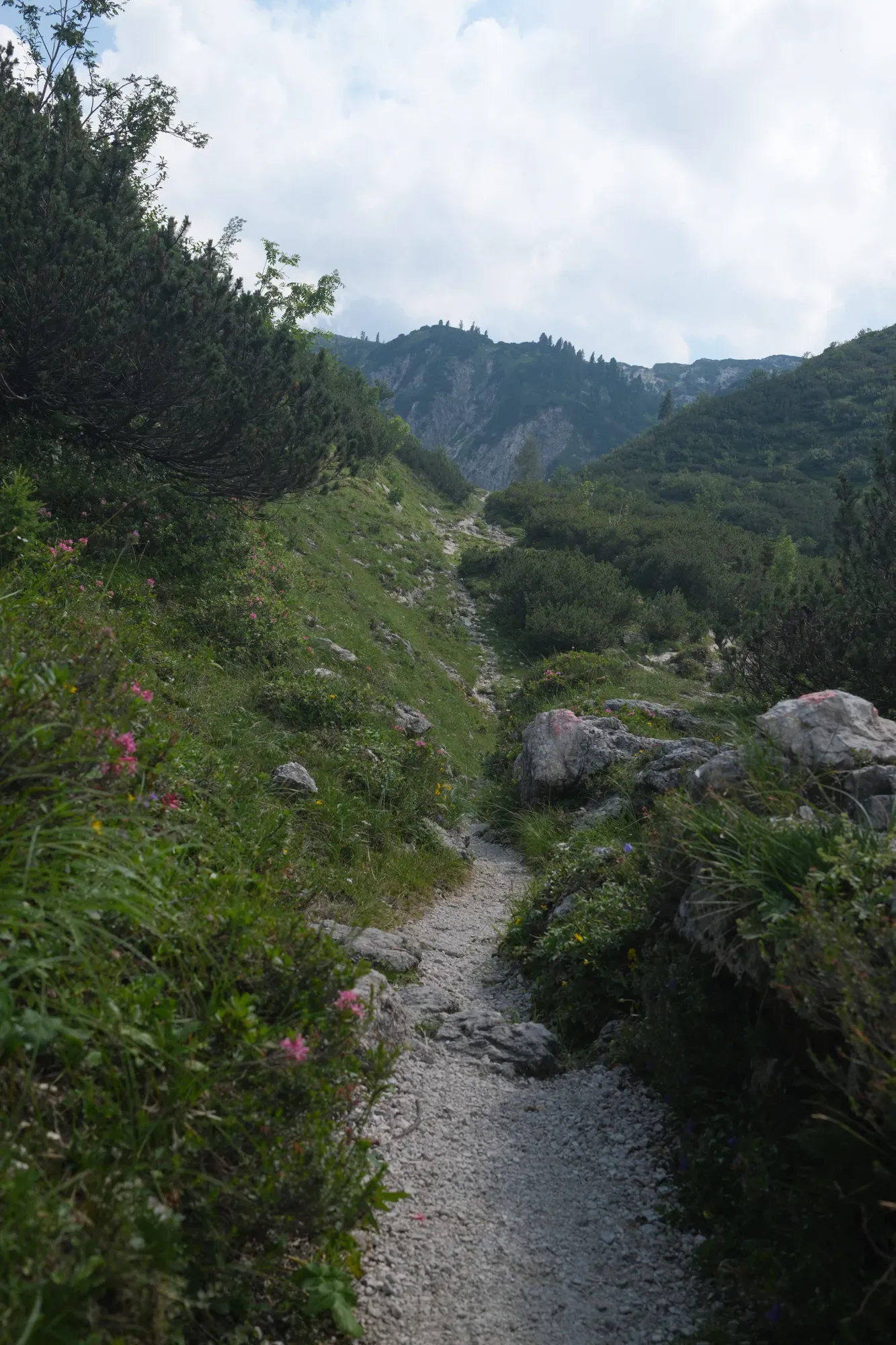 Salzkammergut photograph 59