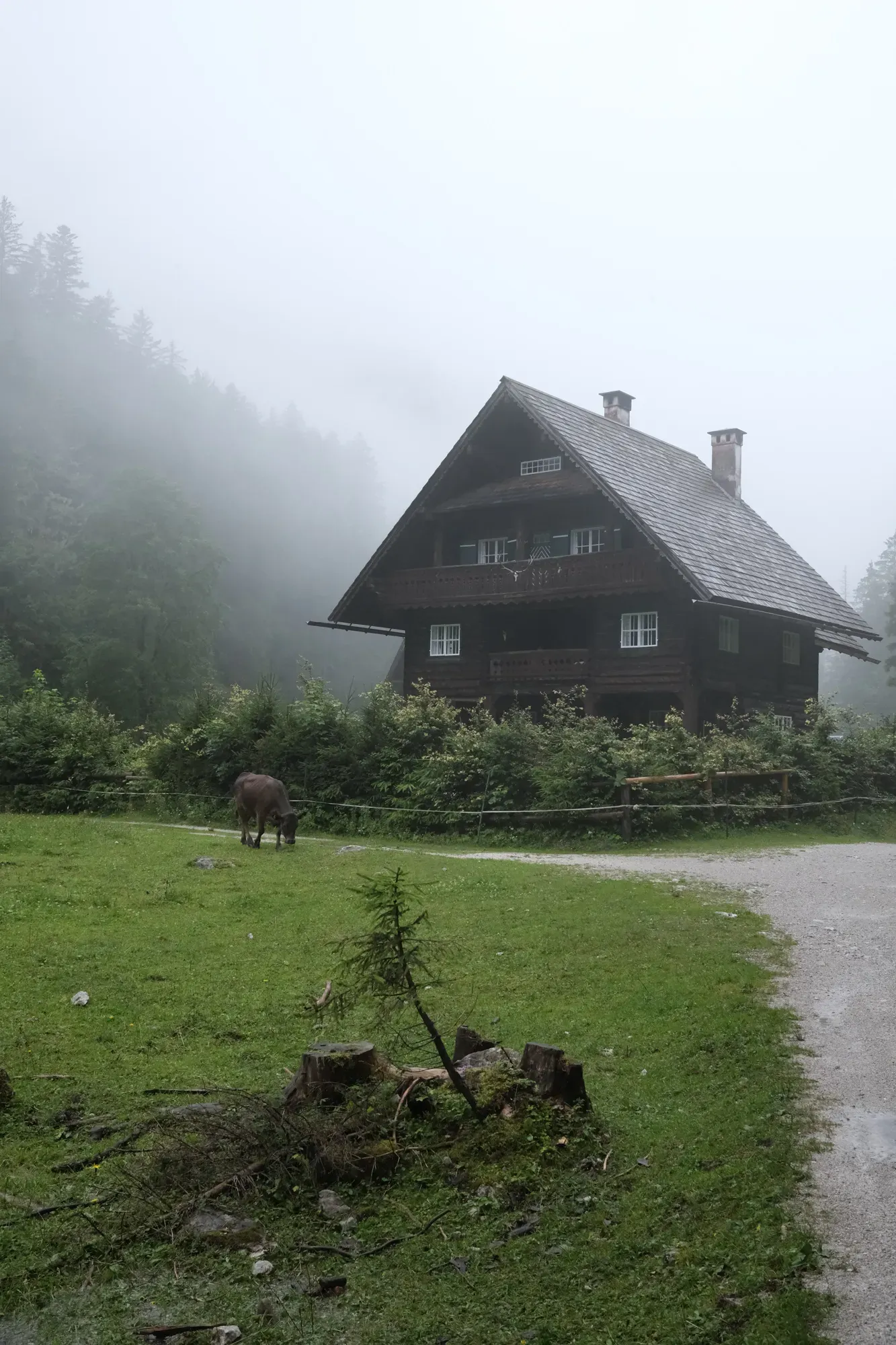 Salzkammergut photograph 24