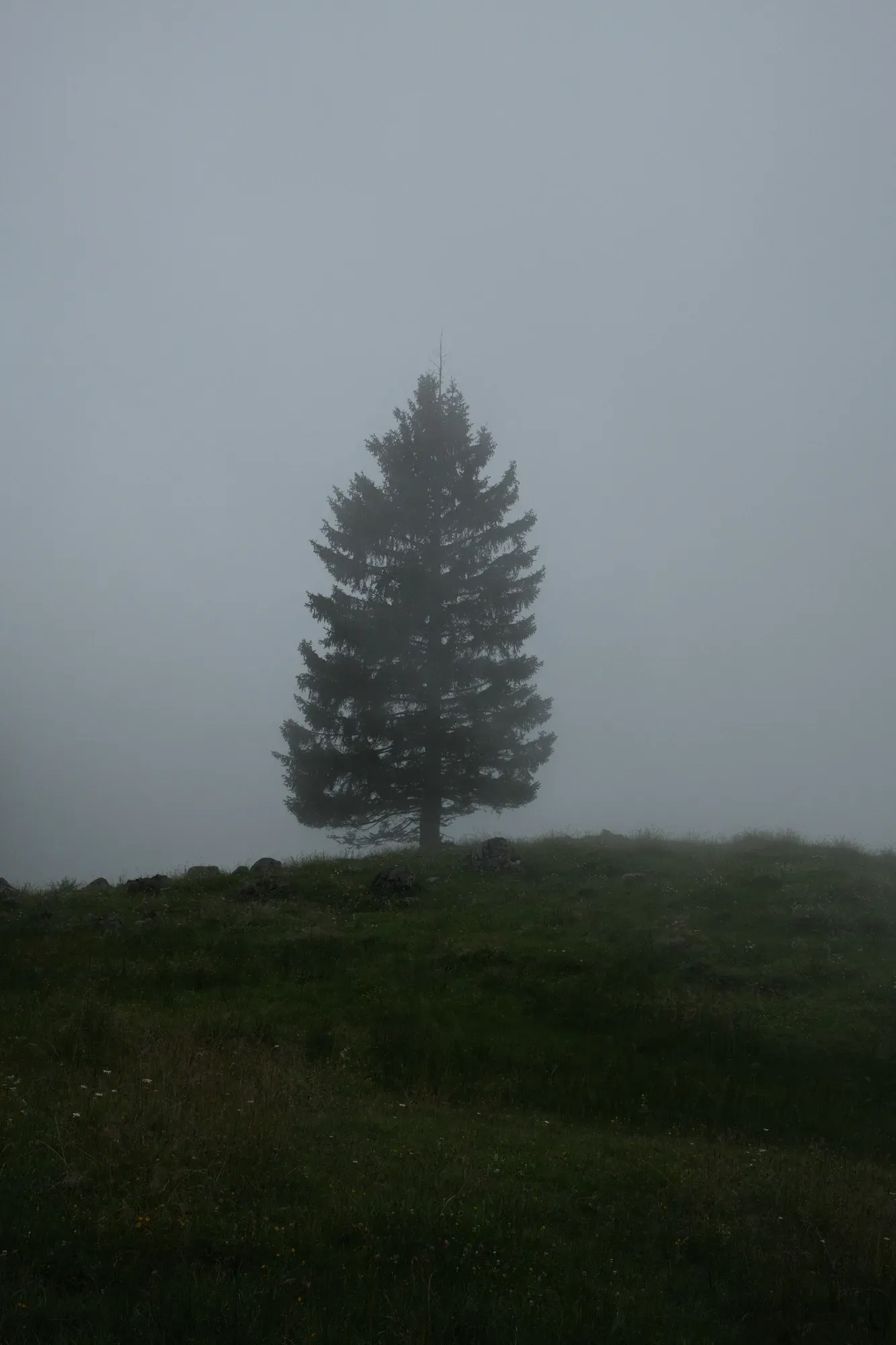 Salzkammergut photograph 41
