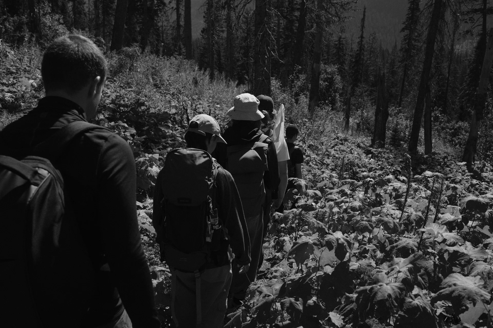hiking