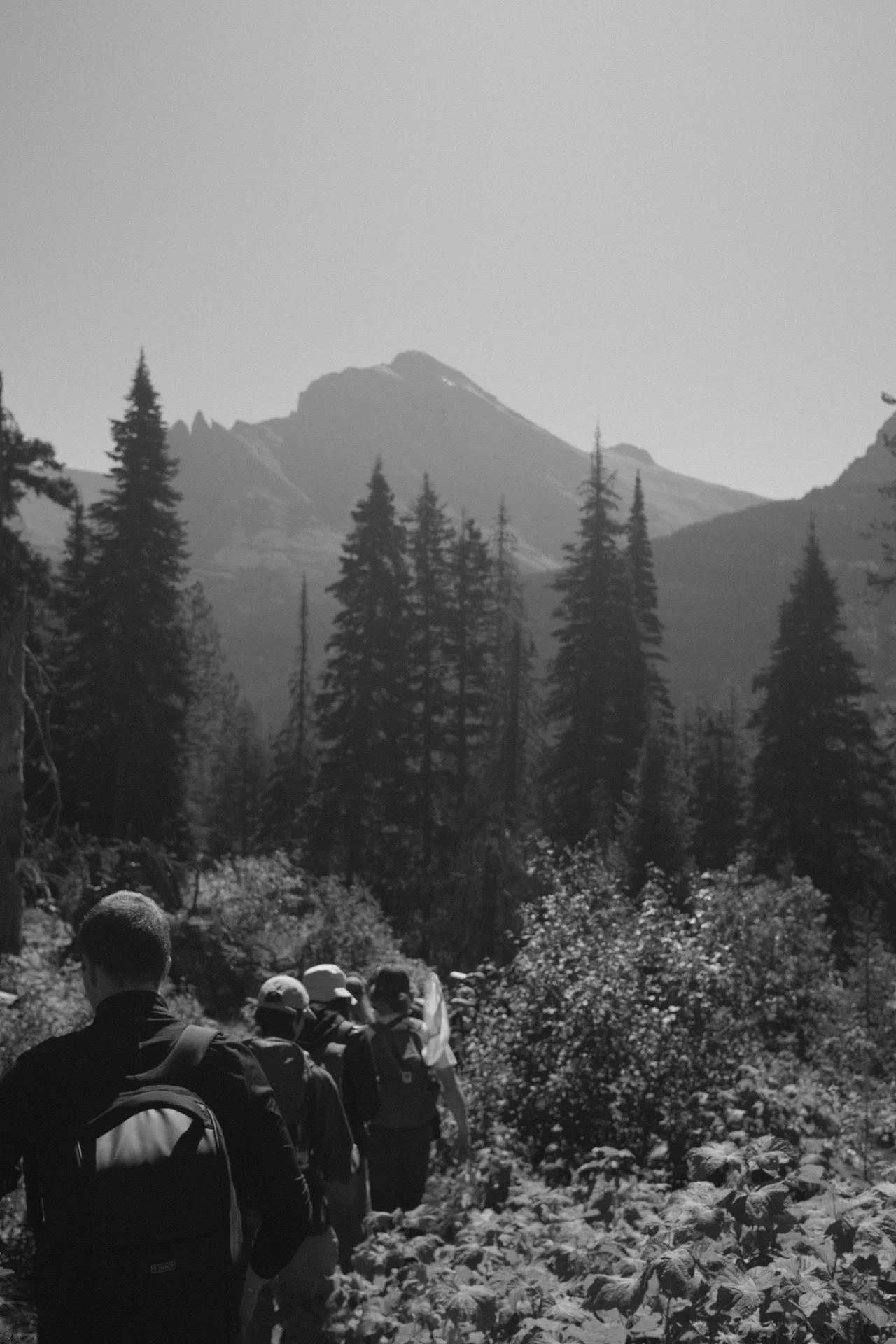 hiking